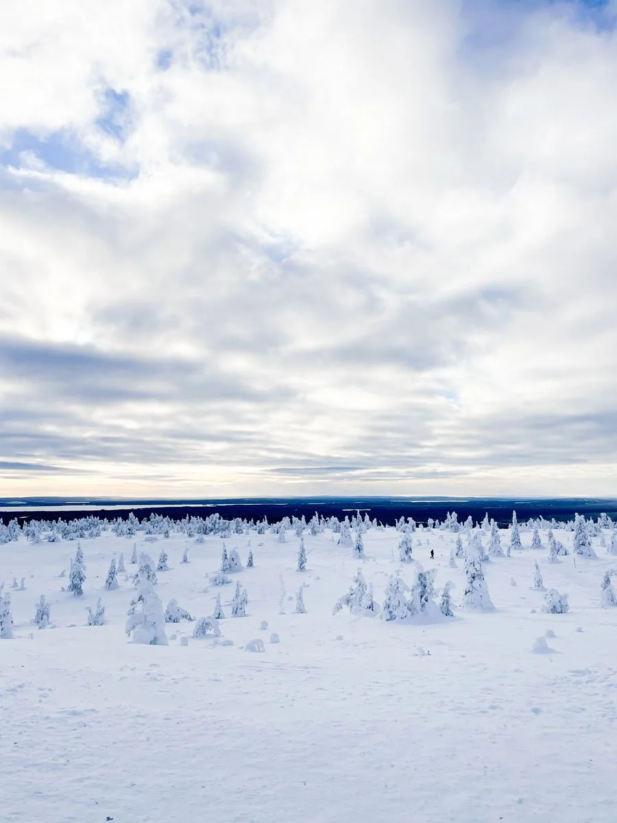 Riisitunturi-talvella-12.jpg