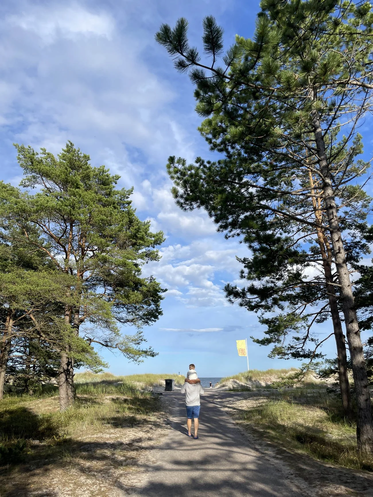 Böda-sand-leirintäalue-Öölanti-3.jpg