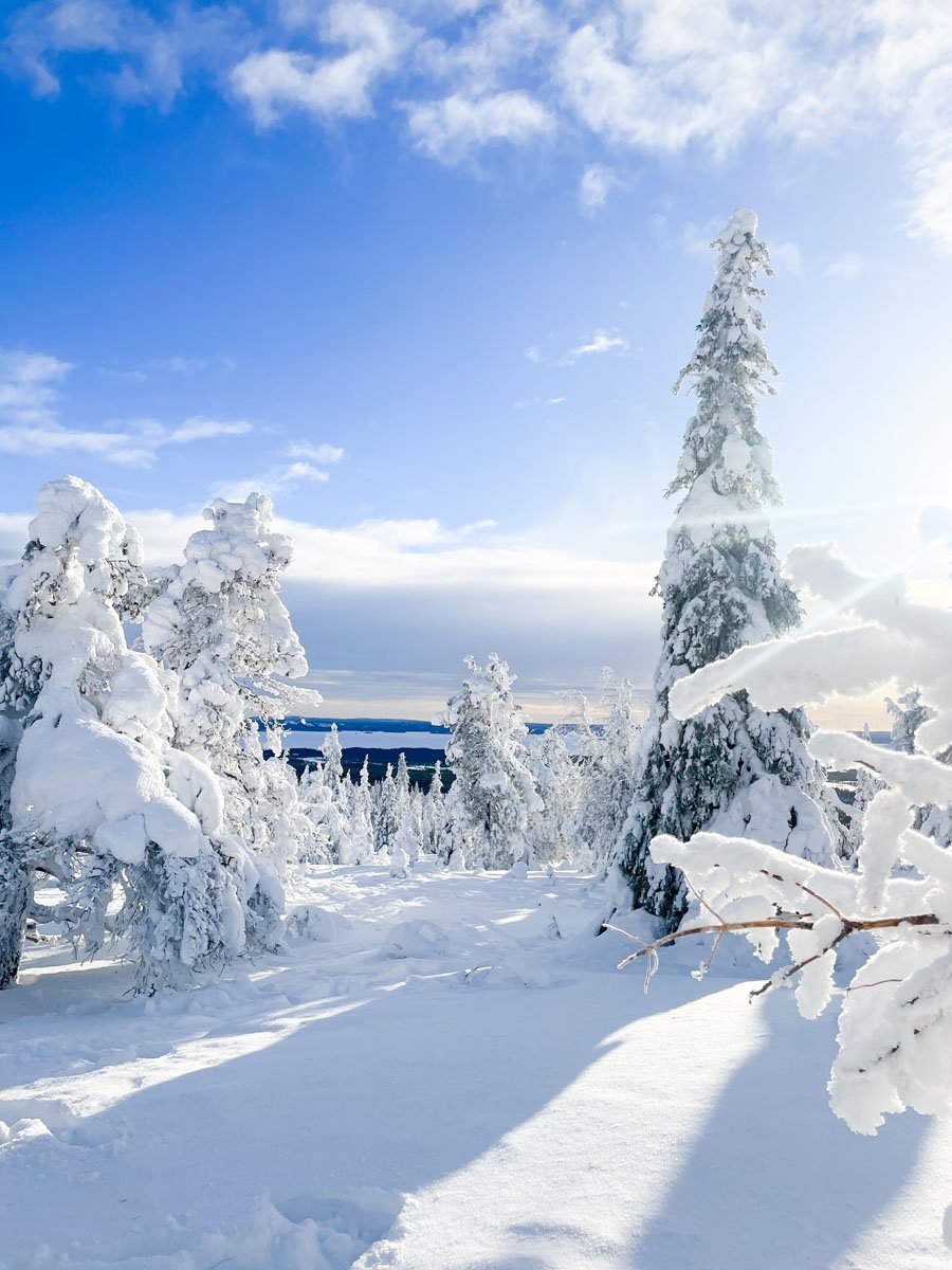 Riisitunturi-talvella-5.jpg