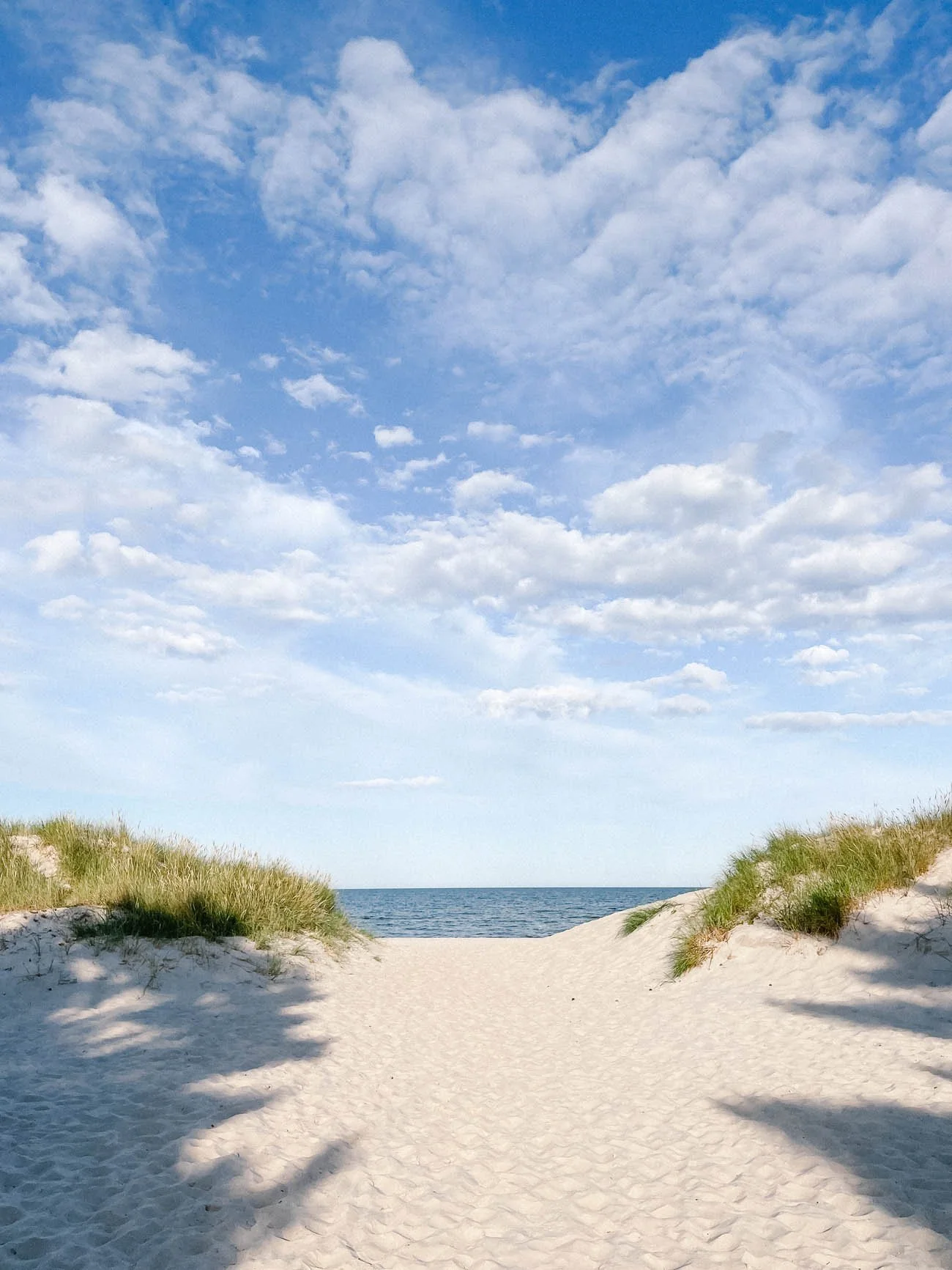 Böda-sand-leirintäalue-Öölanti-10.jpg