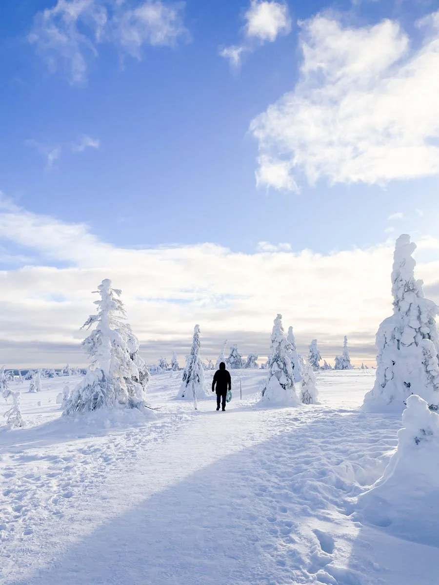 Riisitunturi-talvella-23.jpg