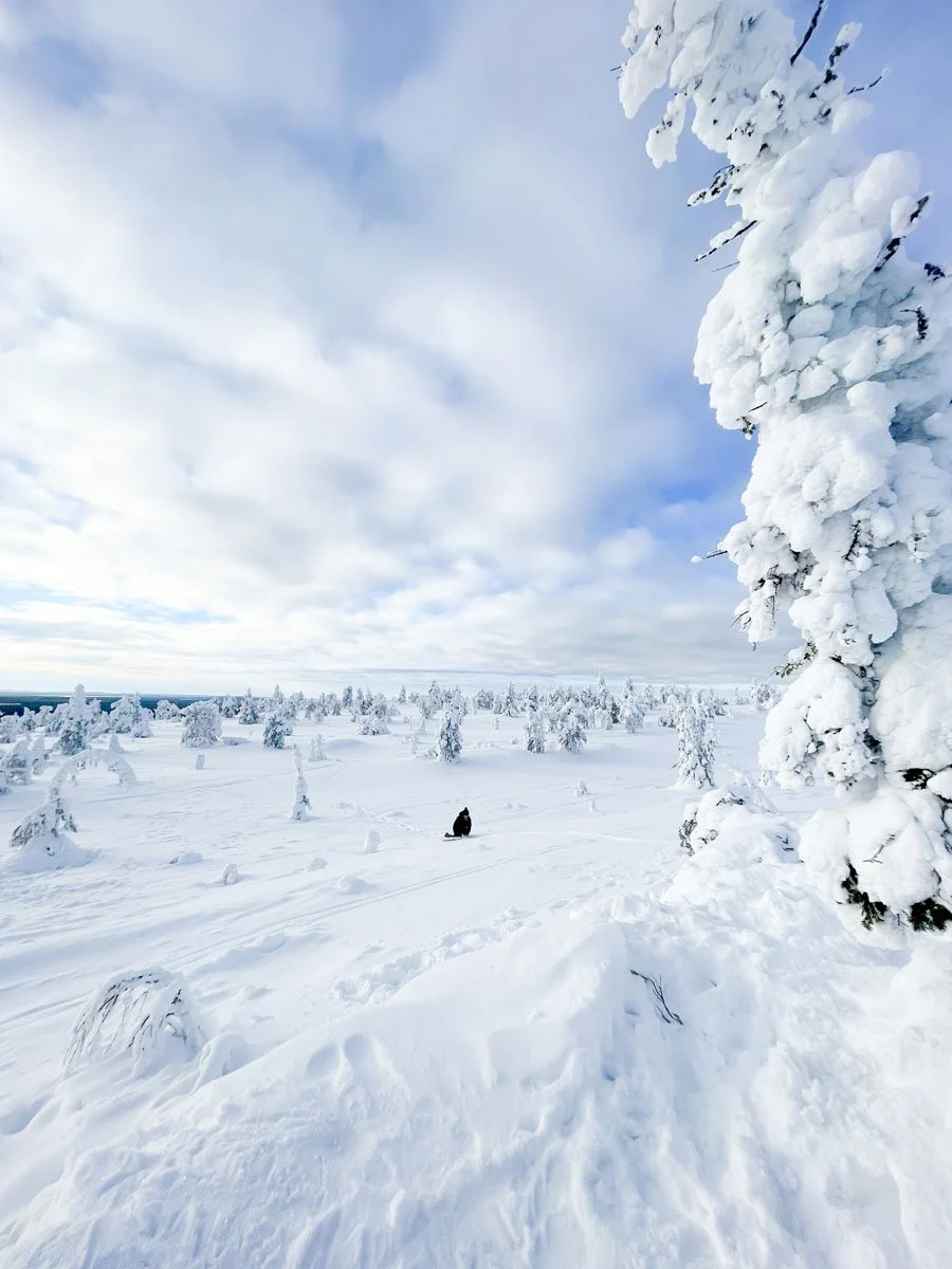 Riisitunturi-talvella-6.jpg