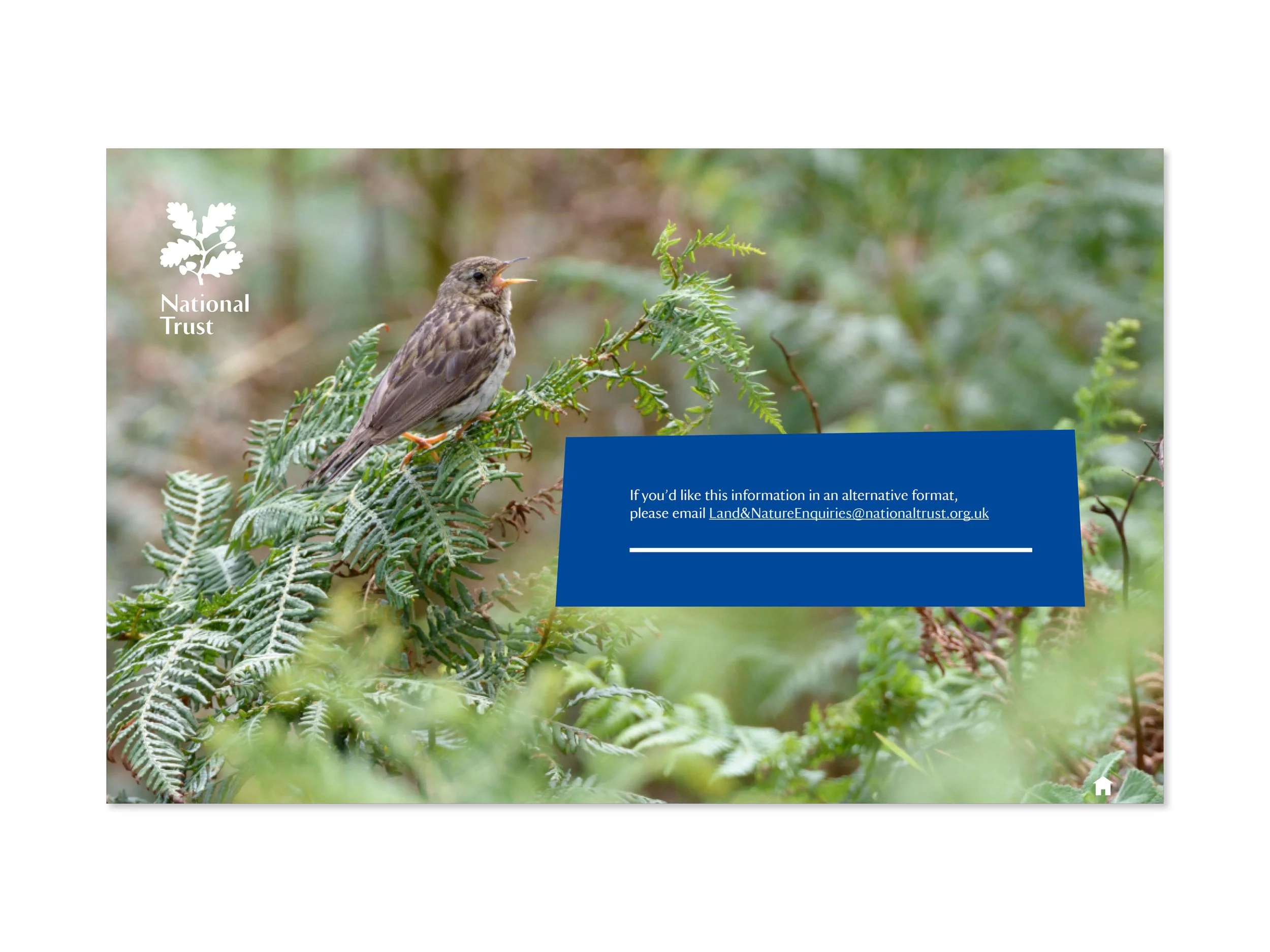 National-Trust-Volunteer-Guide-Design-10.jpg