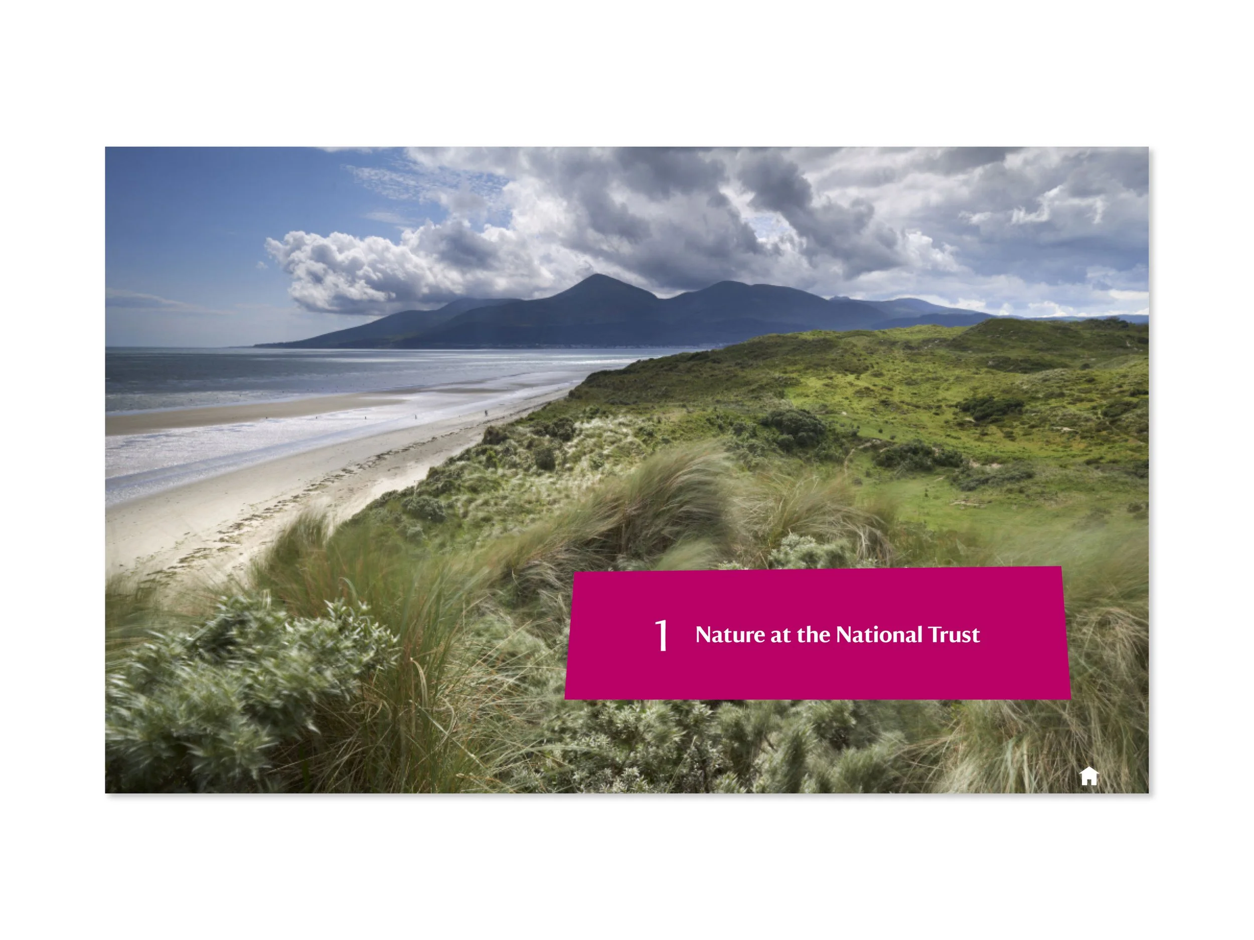 National-Trust-Volunteer-Guide-Design-4.jpg