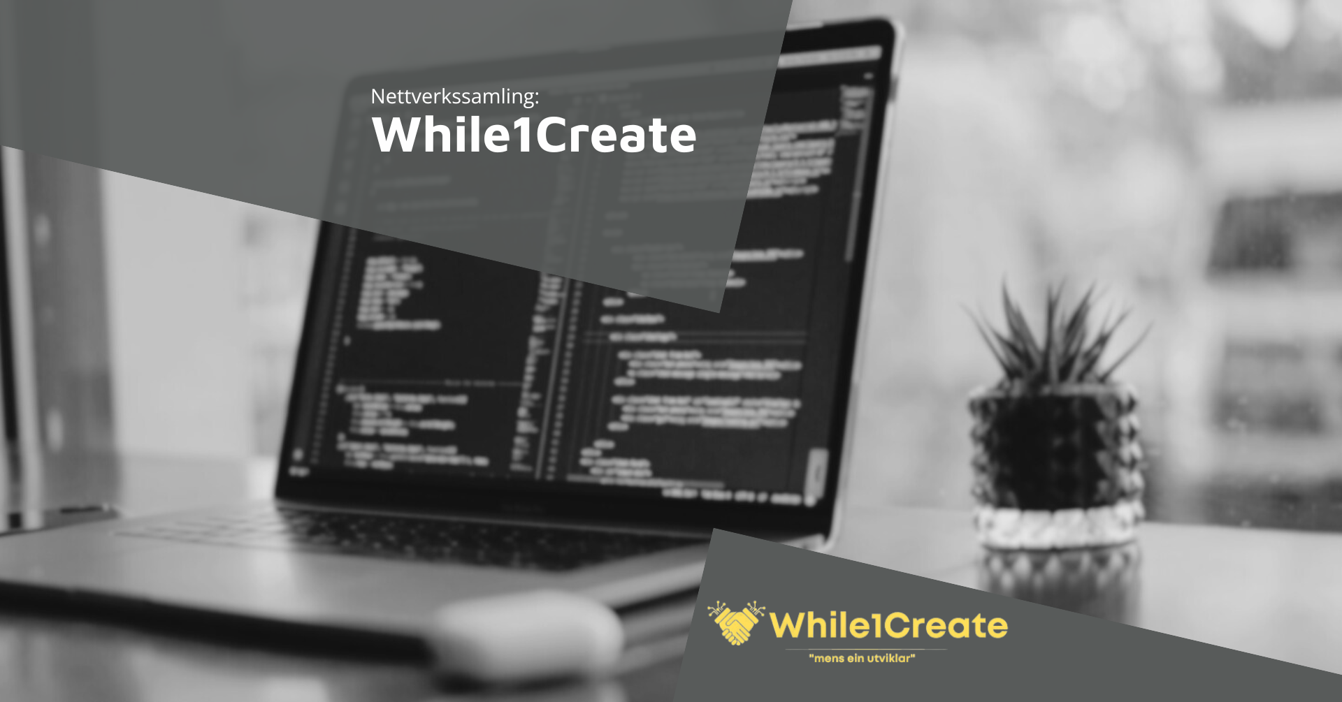 Nettverkssamling: While1Create
