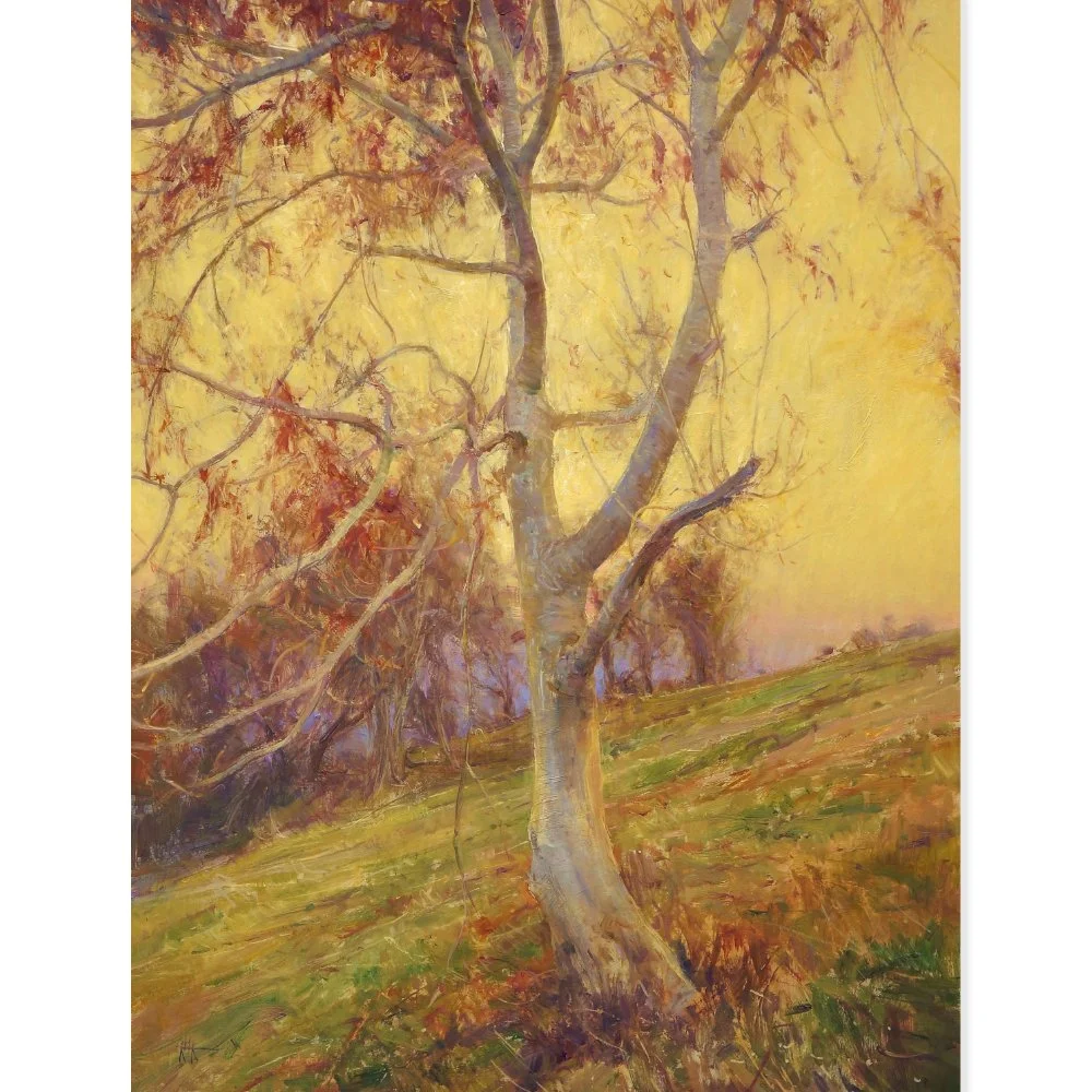 36. Kenny McKendry R.P.