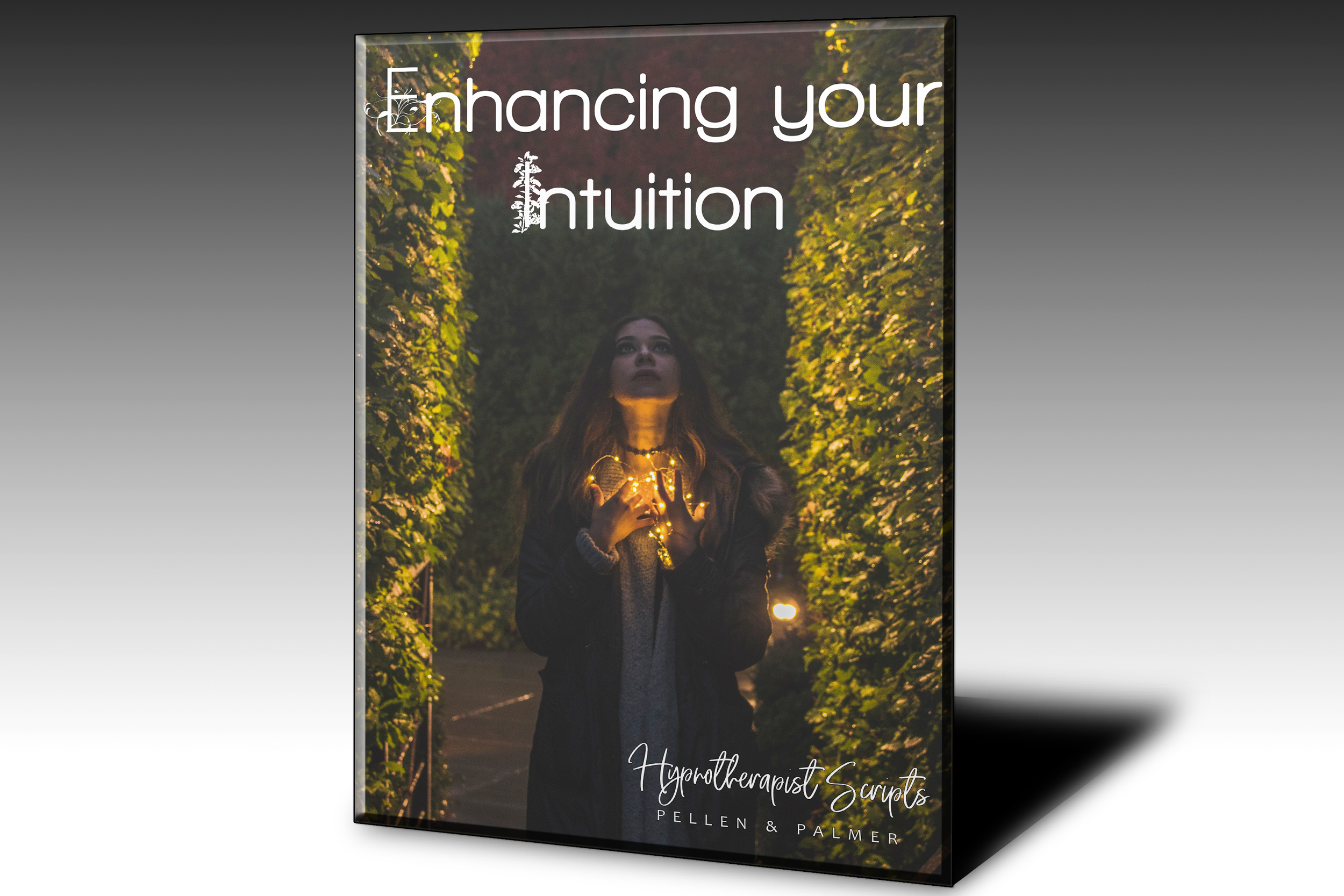 Enhancing your Intuition_script.png