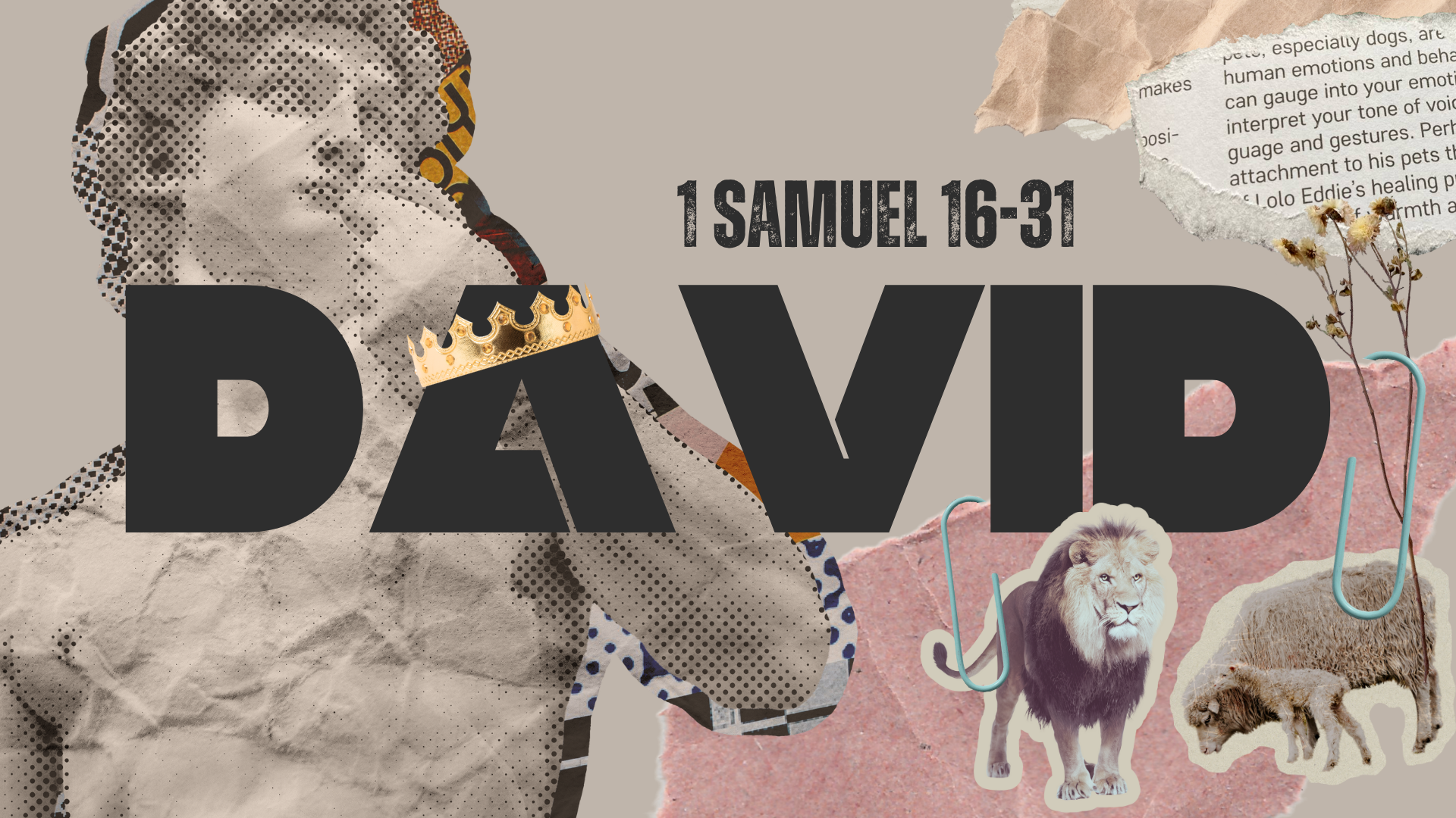 David-series.png