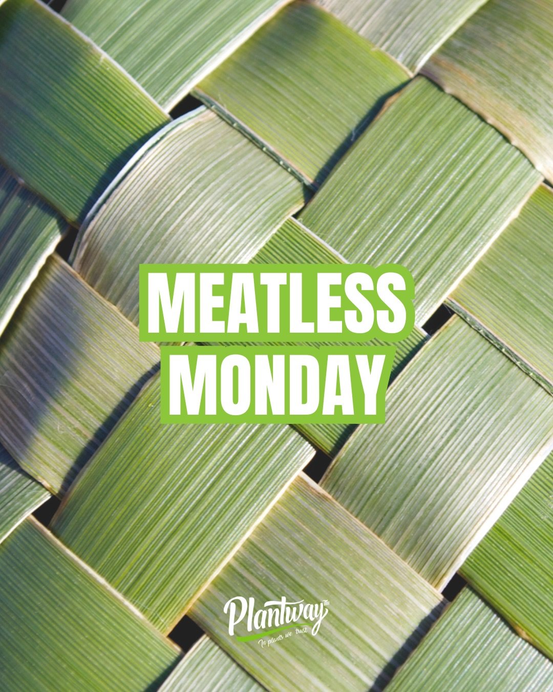 Myślisz, że dieta roślinna wymaga godzin w kuchni? Nic bardziej mylnego! 😎

Przygotowaliśmy dla Ciebie gotowy plan posiłk&oacute;w z produktami Plantway. Smacznie, szybko i z potężną dawką białka. 

Gotowi na Roślinny Poniedziałek? 🤤💪

#Plantway #