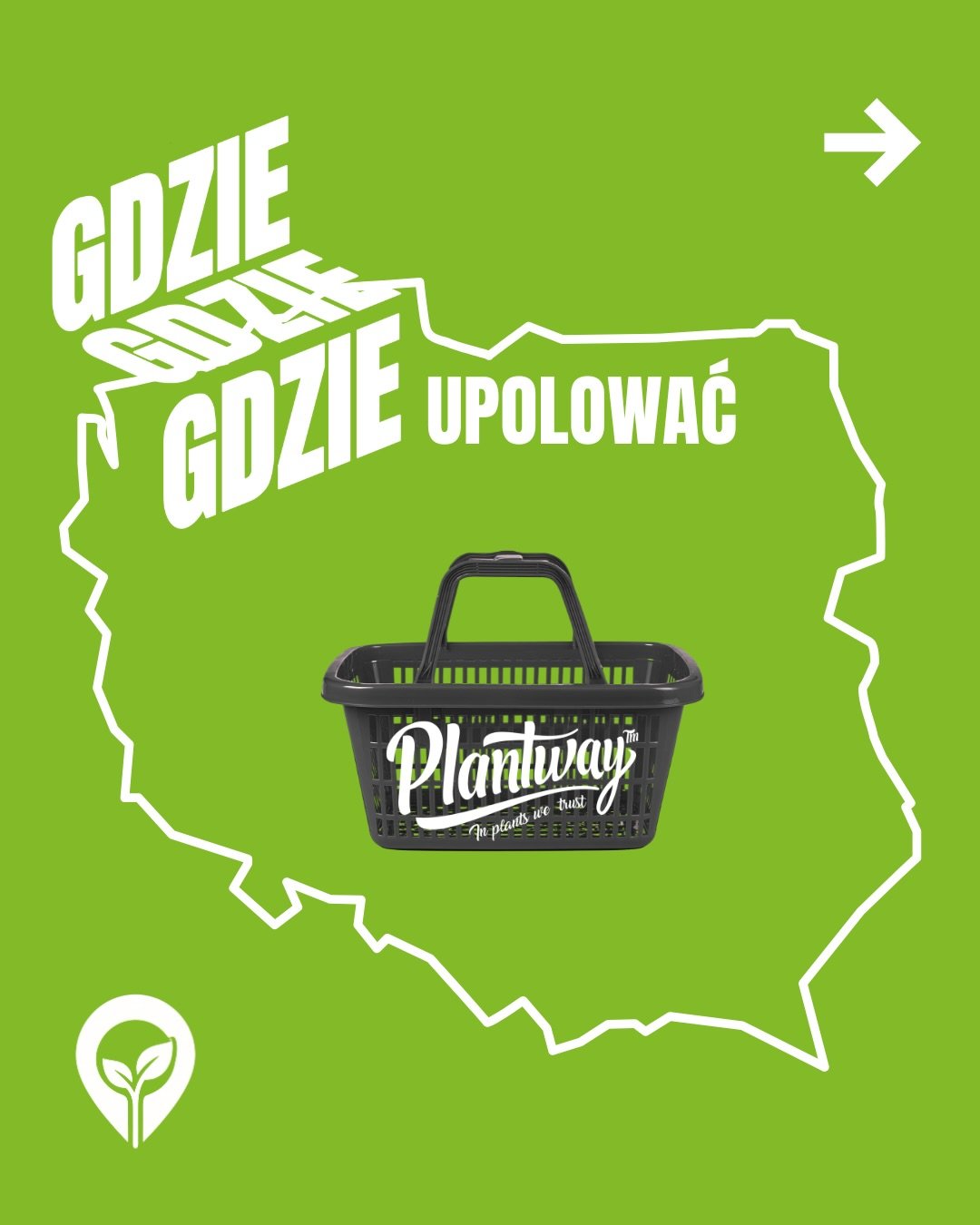 Plantway jest bliżej niż myślisz 💚😋

Przesuń w lewo i sprawdź naszą mapę punkt&oacute;w strategicznych. Od dużych market&oacute;w po szybkie zakupy online - Plantway jest zawsze pod ręką

Daj znać w komentarzu, w kt&oacute;rym sklepie najczęściej r