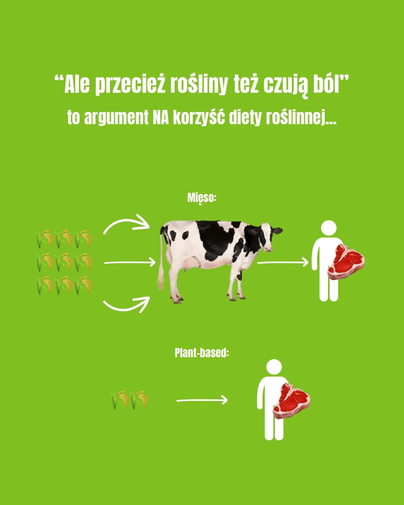 Hasło &bdquo;rośliny też mają uczucia&rdquo; to tak naprawdę... świetny argument ZA przejściem na dietę roślinną. Dlaczego?

Wyhodowanie zwierząt hodowlanych wymaga gigantycznych ilości paszy (czyli właśnie roślin zb&oacute;ż, soi, kukurydzy) 📉🌾

M