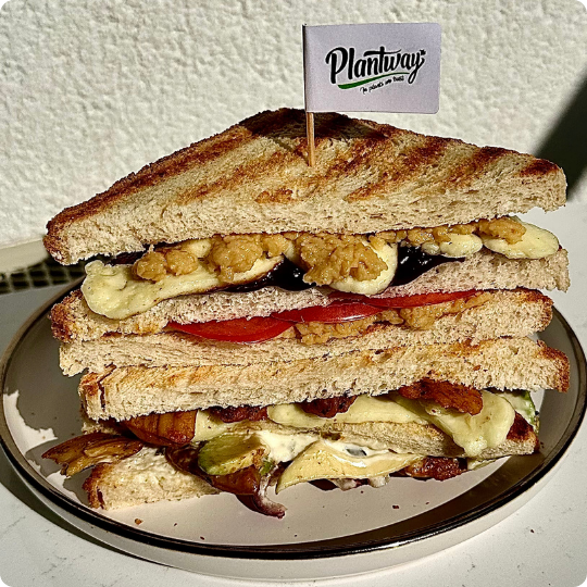 kanapki roślinna alternatywa mięsa.png