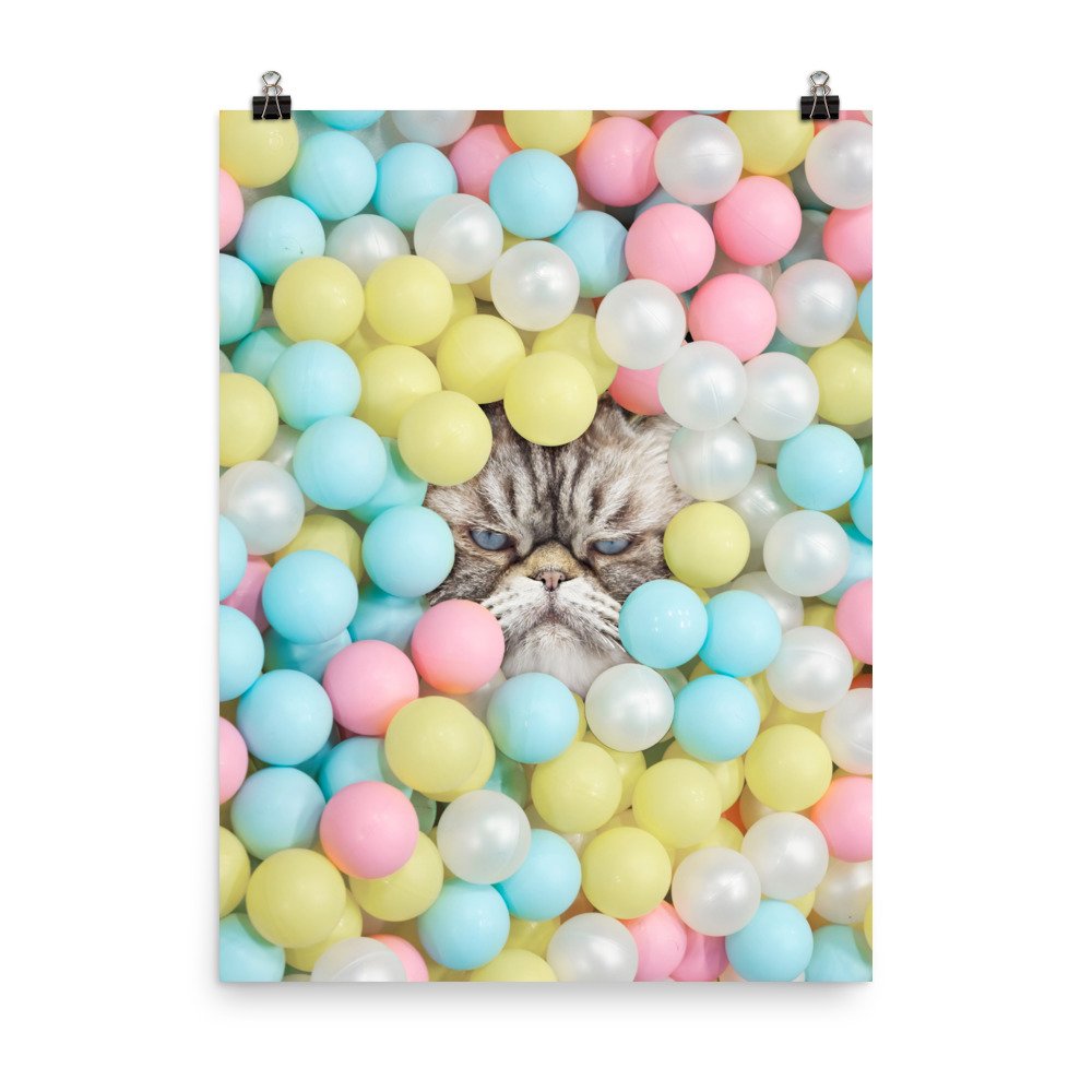 enhanced-matte-paper-poster-(in)-18x24-transparent-61f1b9e5ad23b.jpg