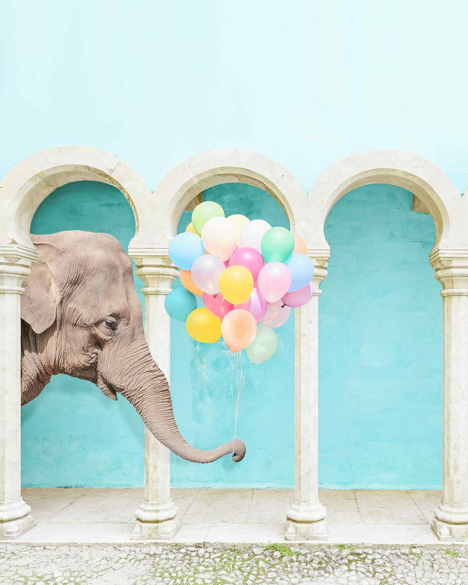 An Elephant Never Forgets.jpg