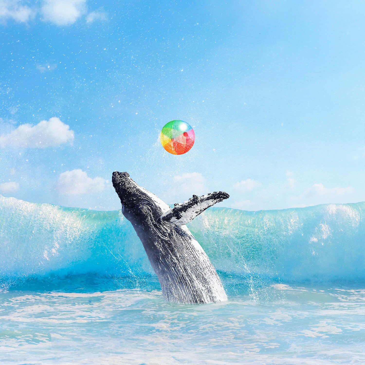 Make A Splash.jpg