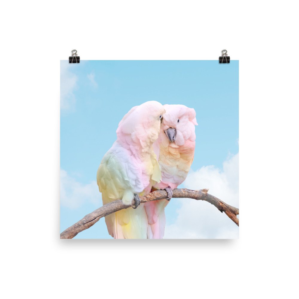 enhanced-matte-paper-poster-(in)-18x18-transparent-61f2dfcb8aa72.jpg