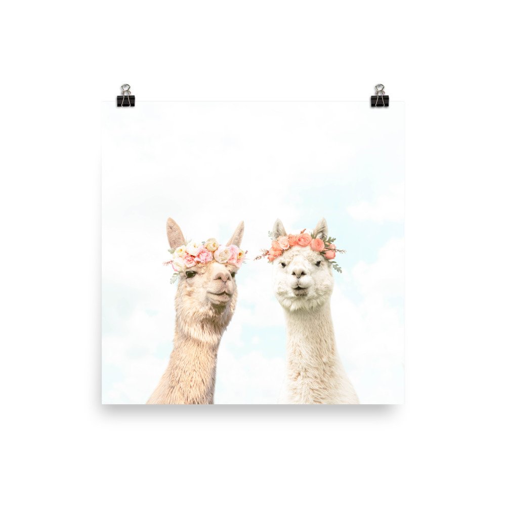 enhanced-matte-paper-poster-(in)-16x16-transparent-61f2e5d18ffbf.jpg