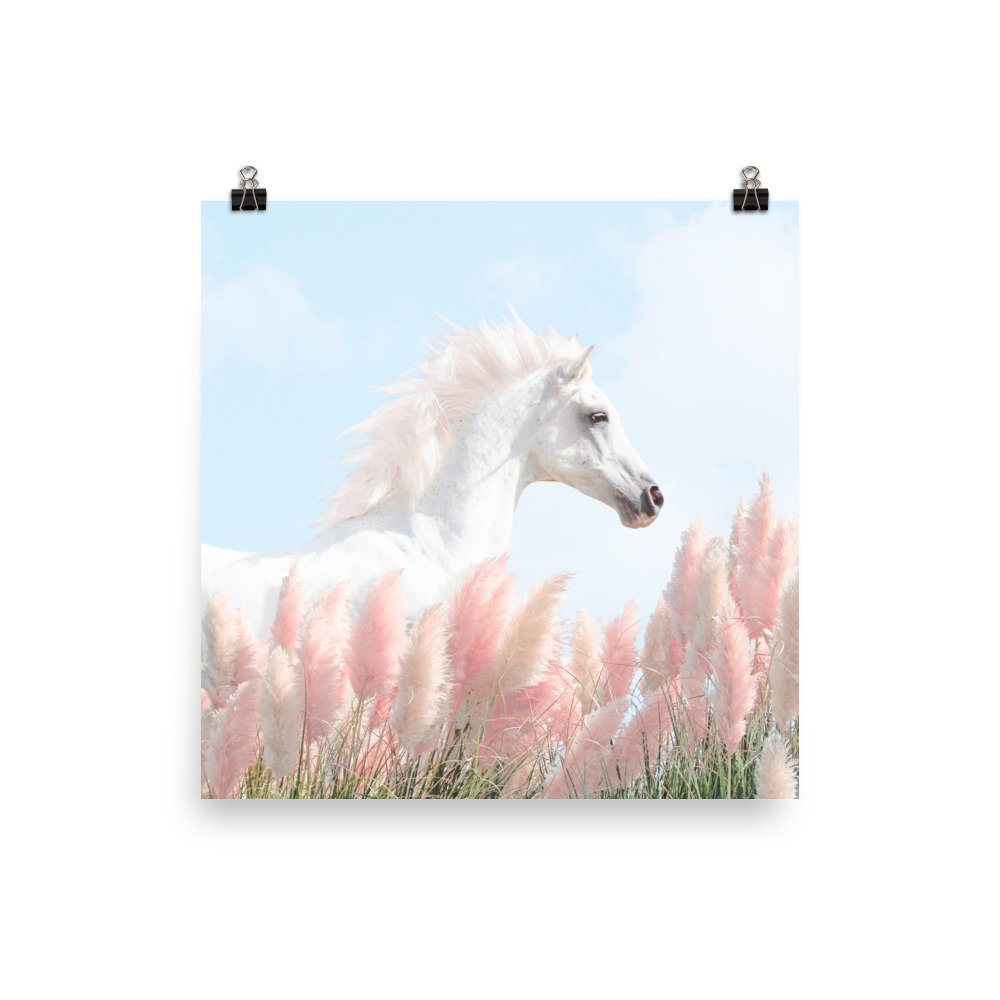 enhanced-matte-paper-poster-(in)-16x16-transparent-61f2ef9246d82.jpg