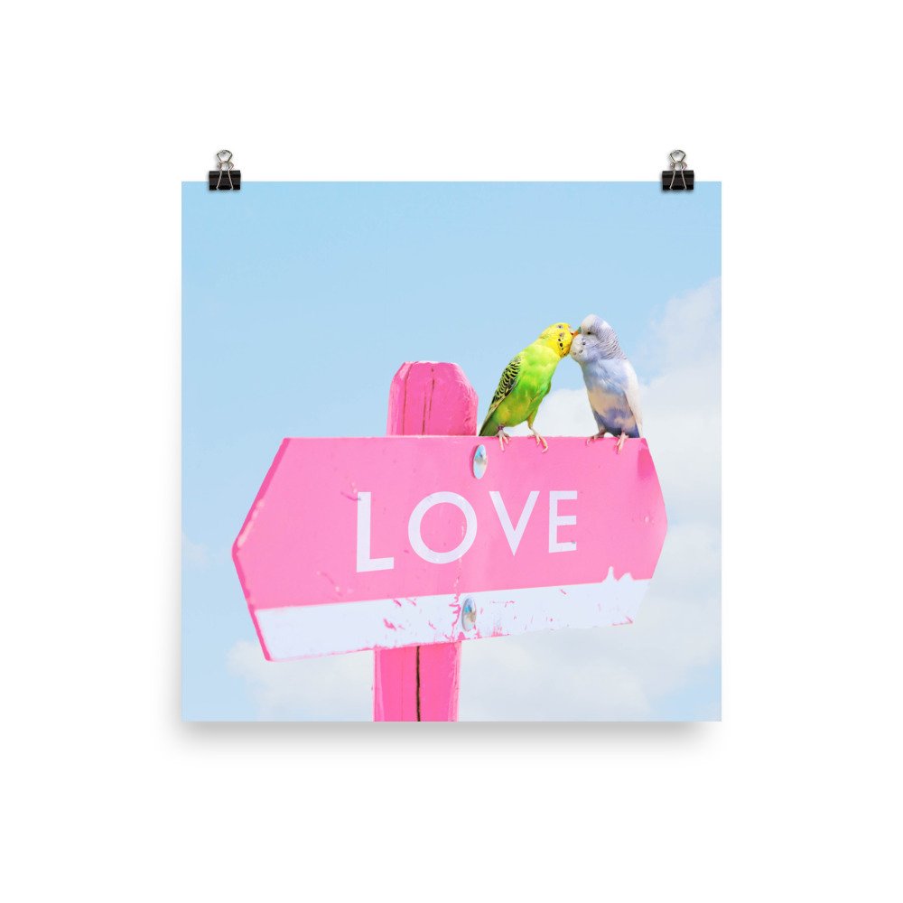 enhanced-matte-paper-poster-(in)-14x14-transparent-61f30d0d6a244.jpg