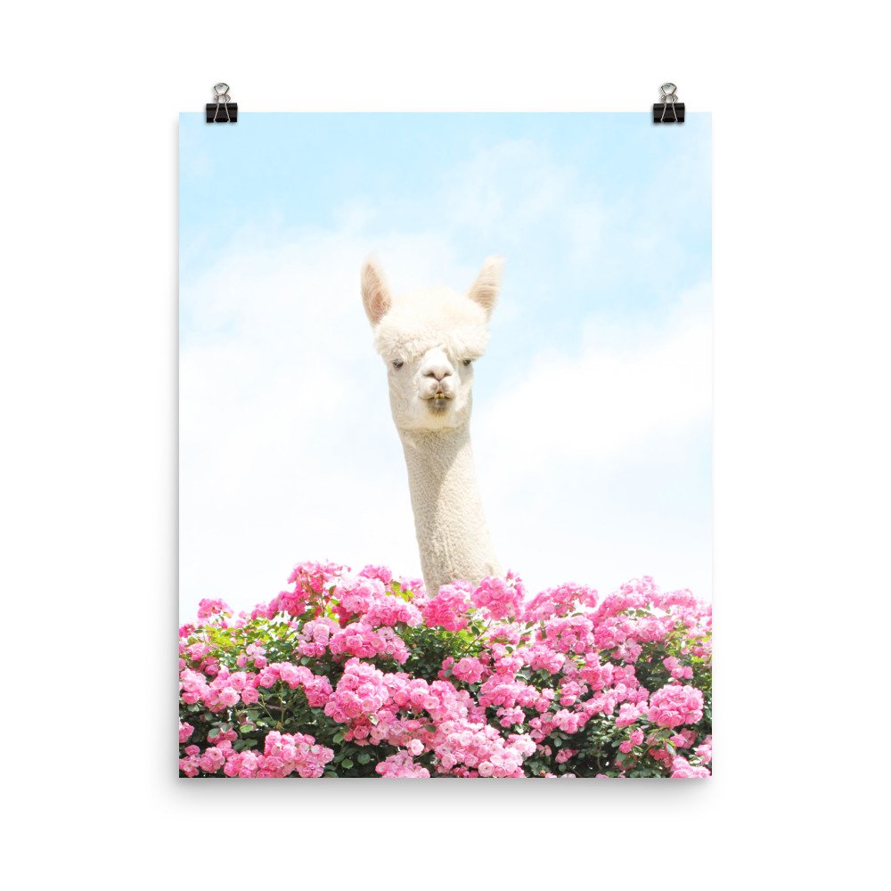 enhanced-matte-paper-poster-(in)-16x20-transparent-61f709b6b5d4c.jpg