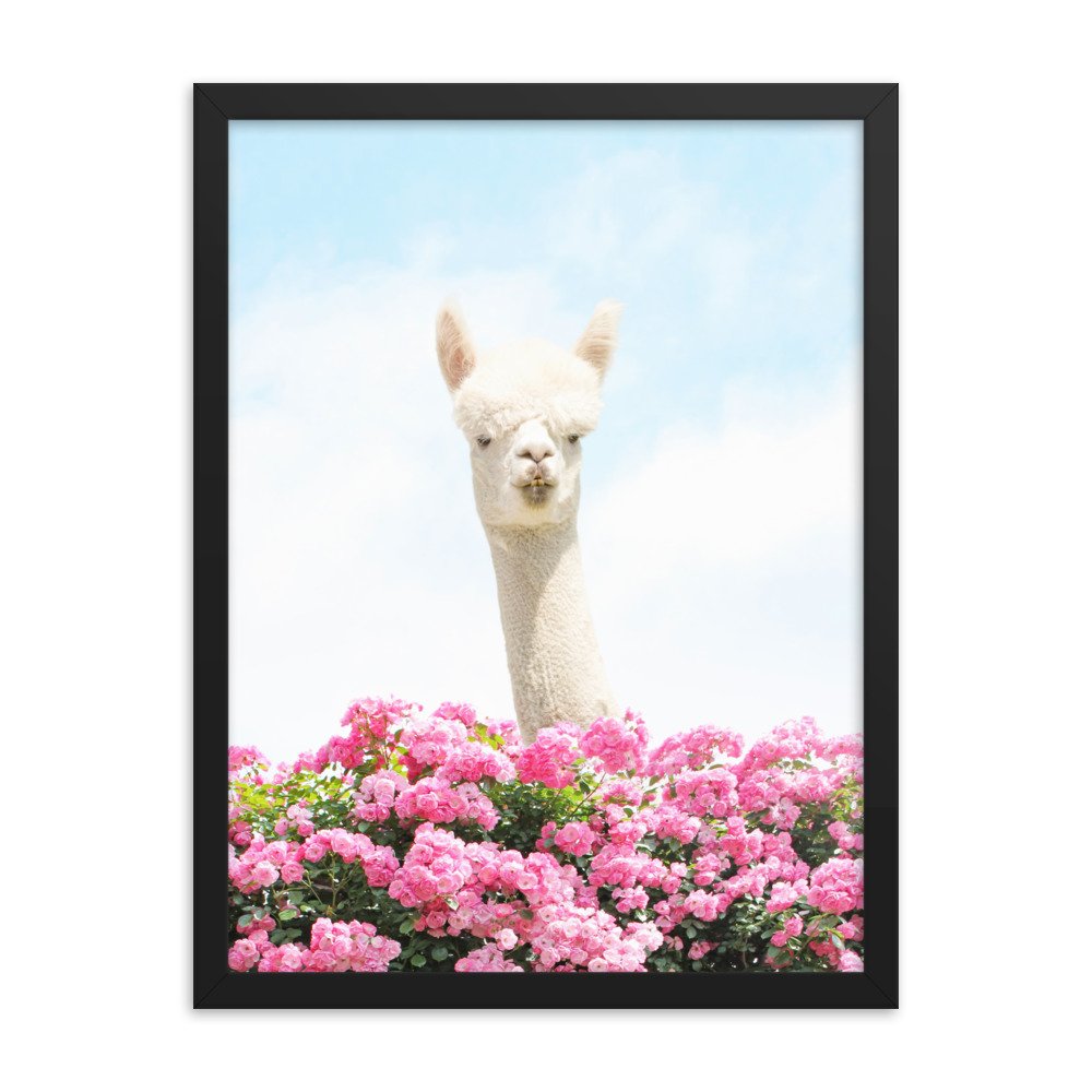 enhanced-matte-paper-framed-poster-(in)-black-18x24-transparent-61f70a1a66455.jpg