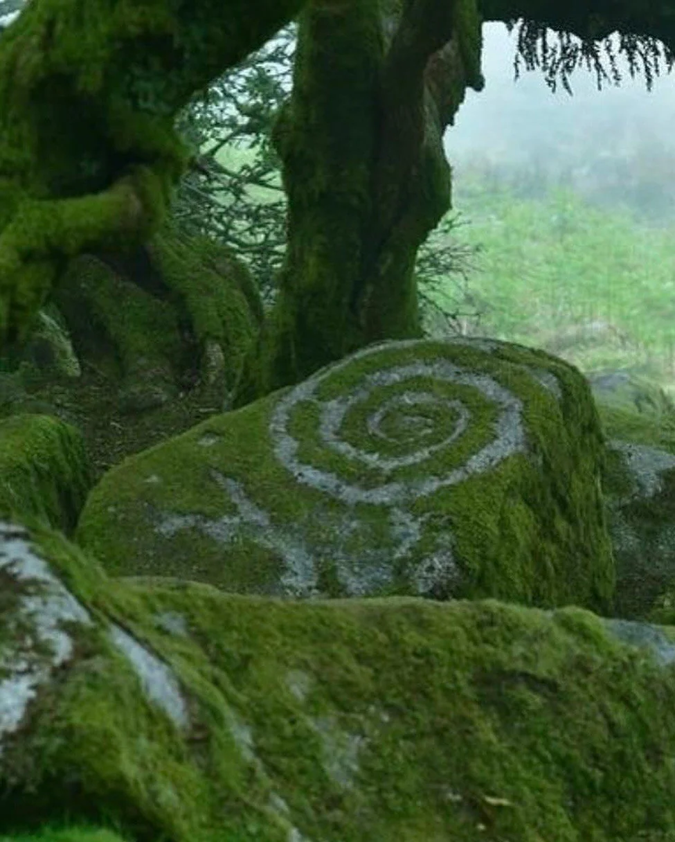 Moss-covered rocks and trees with a spiral shape drawn on one of the rocks in a forest.