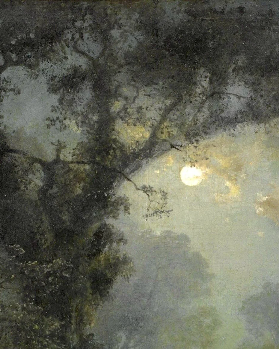 A moonlit night scene with silhouettes of trees and branches against a glowing moon in the sky.