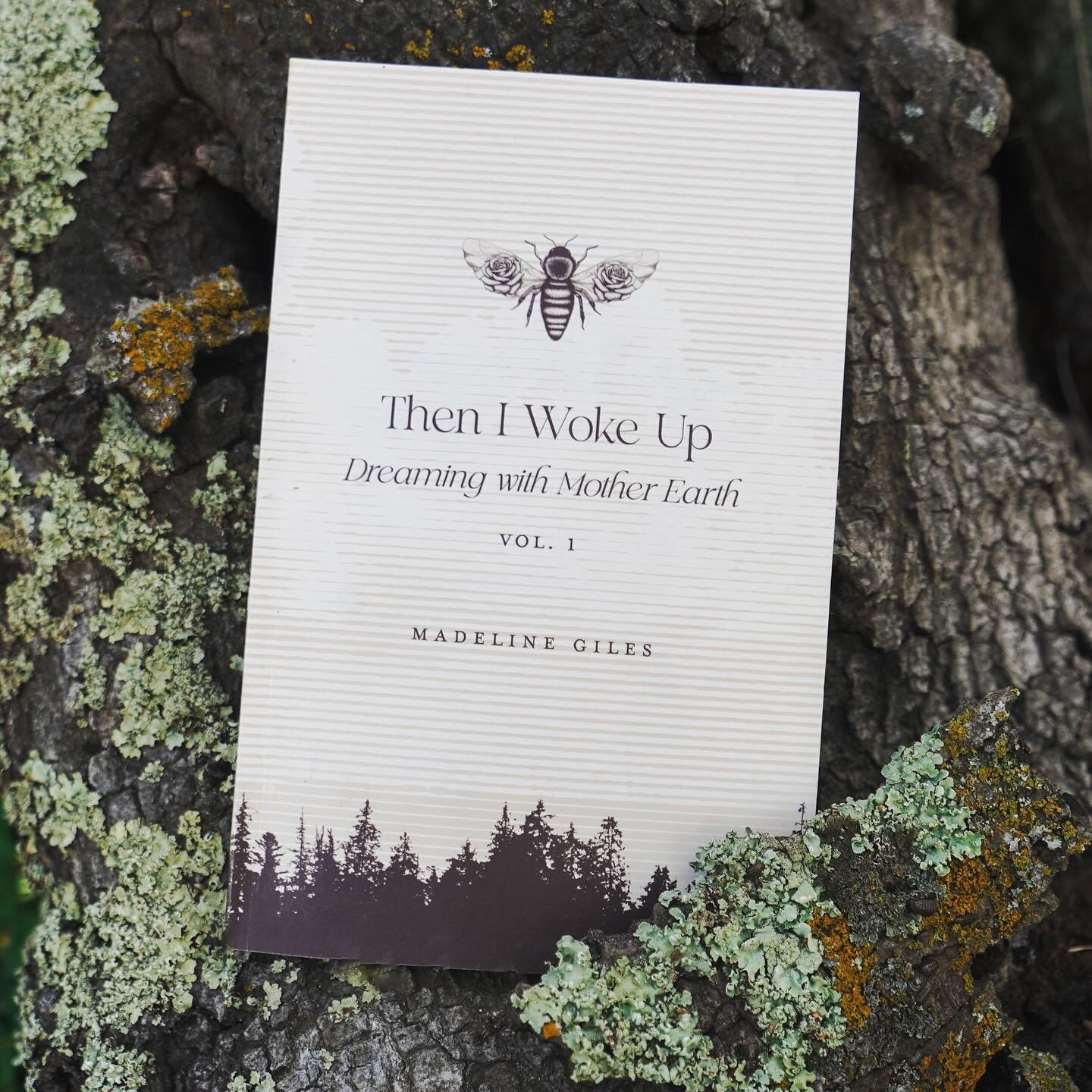 My bedside dreaming booklet has woven her way into the world for a little over two weeks now!🌀Some of you have written me about the dreams you've received since reading the book - dreams of trees and snakes, butterfly forests and nightingale temples