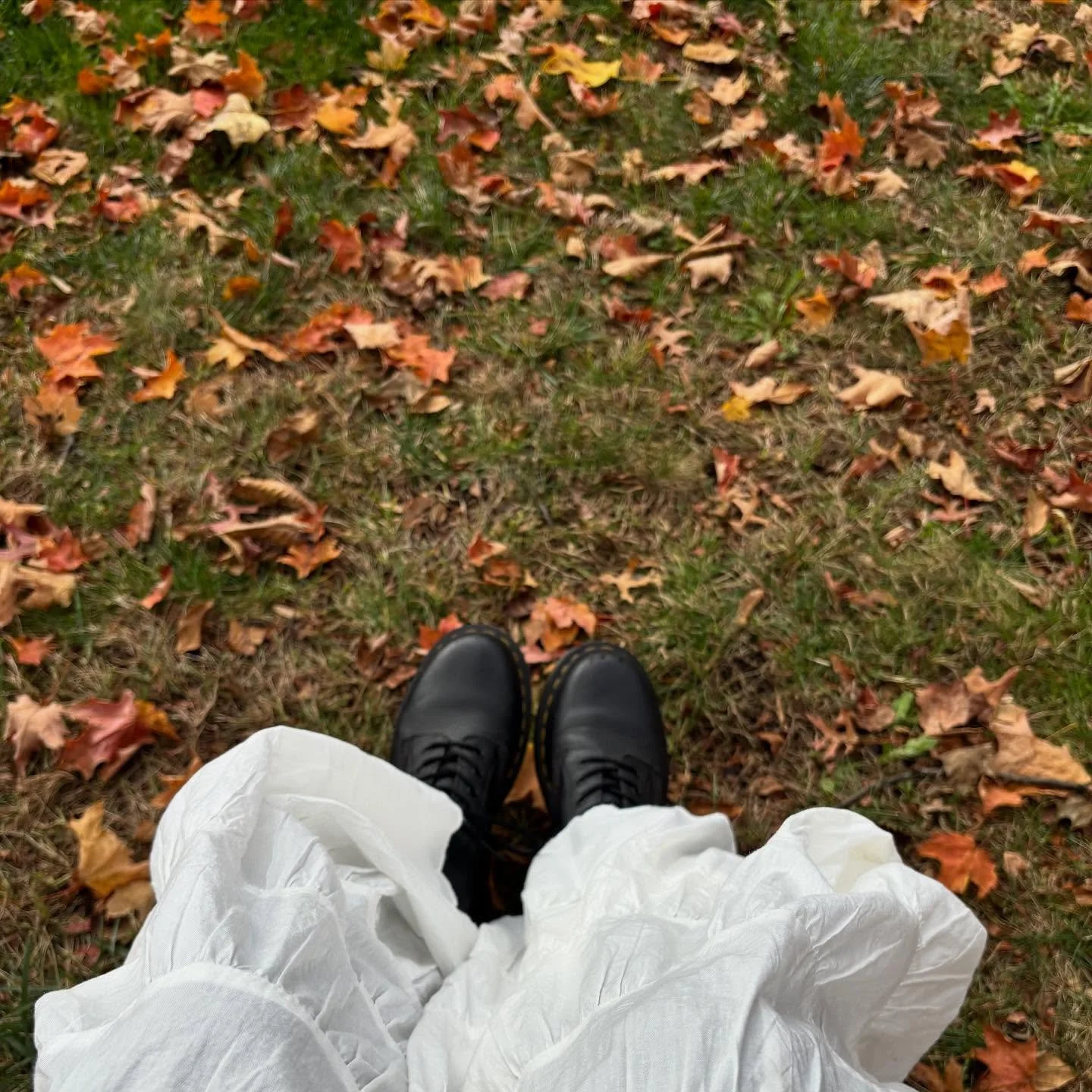 Autumnal dreamdate reminding me that my Soul lives inside a Keats poem ~ meadow-star mornings and candlelit callings, memories of worlds where urgency means a horseback held letter. I don't wish to live in another time, yet I love to live in the plac