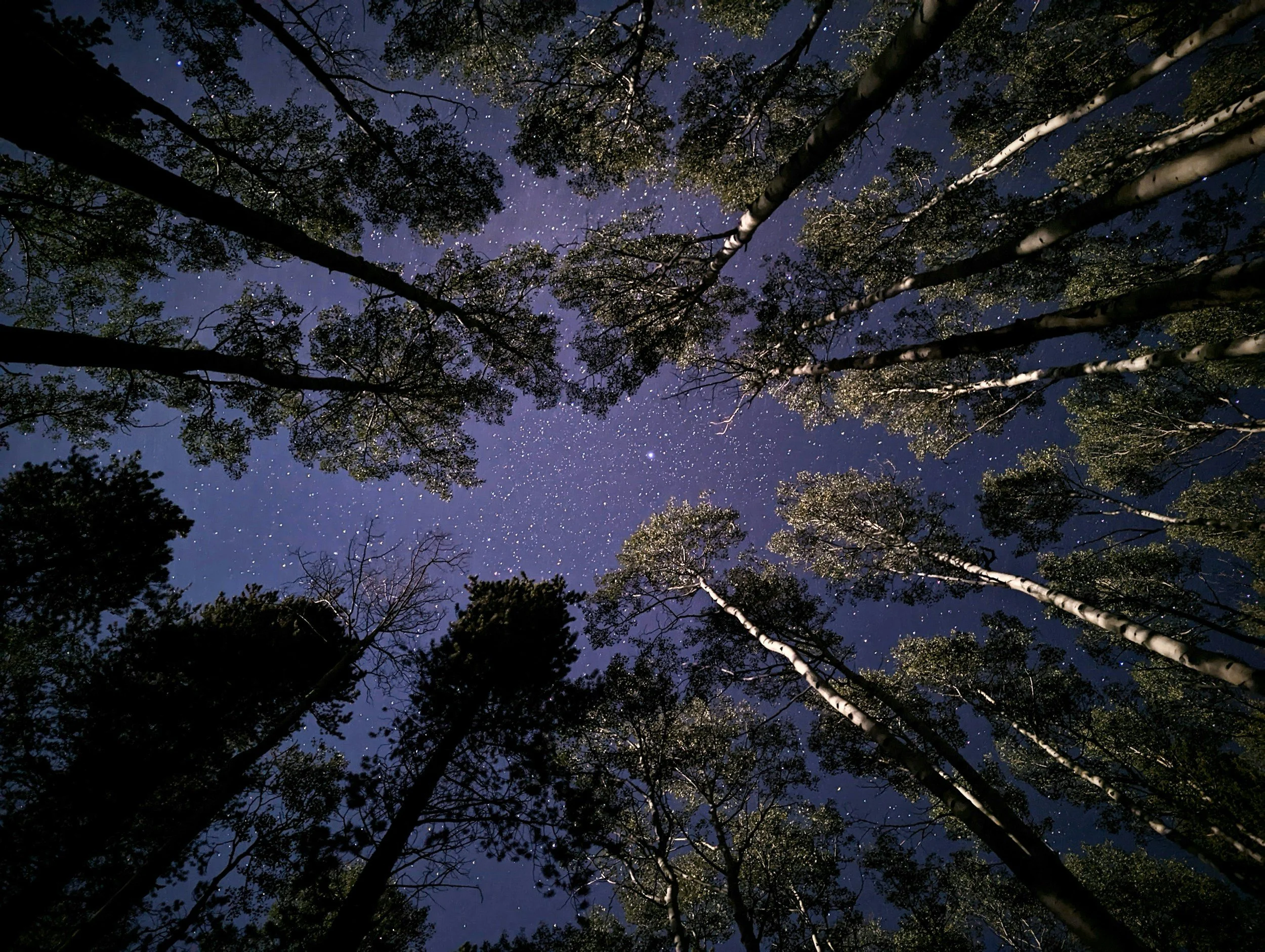 ONLINE: Breathe Into New Year’s - Complete 2025 &amp; Dream Into 2026 ↠