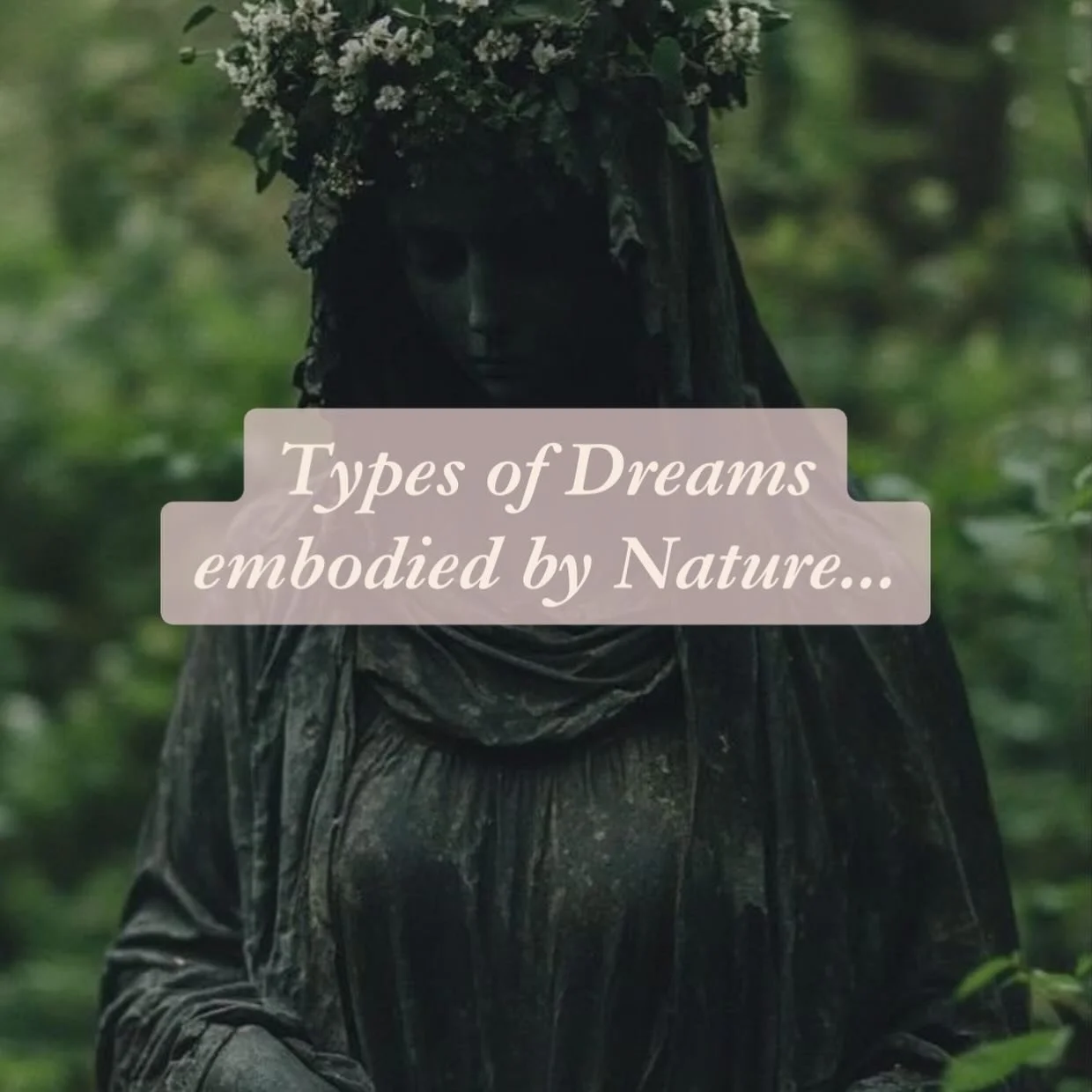 There are many many different types of dreams - entire dream dictionaries have been written on this! In these past few years of deepening into Earth-centric dreamwork, I&rsquo;ve noticed that certain dreams seem to dissolve into a shared ecosystem em