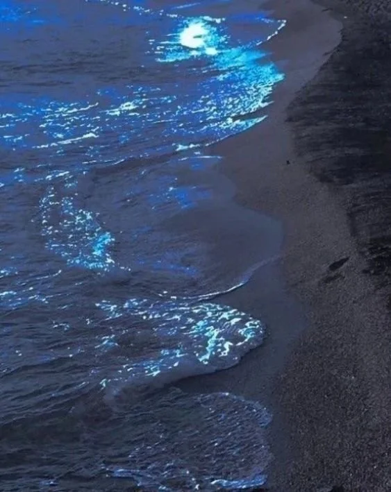 Circumstances kept us apart; the eclipse brought us together