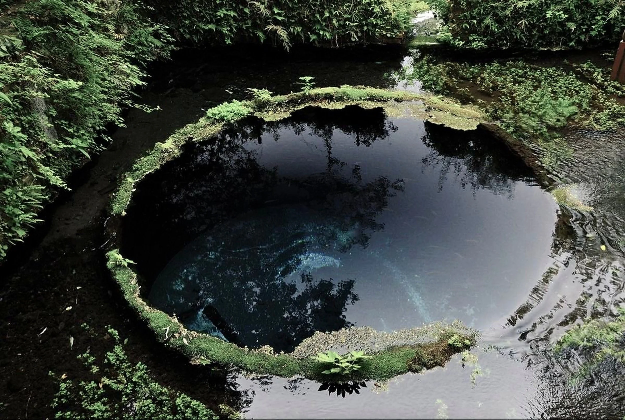 A natural underground hot spring pool surrounded by greenery with moss-covered edges reflecting the sky and trees.