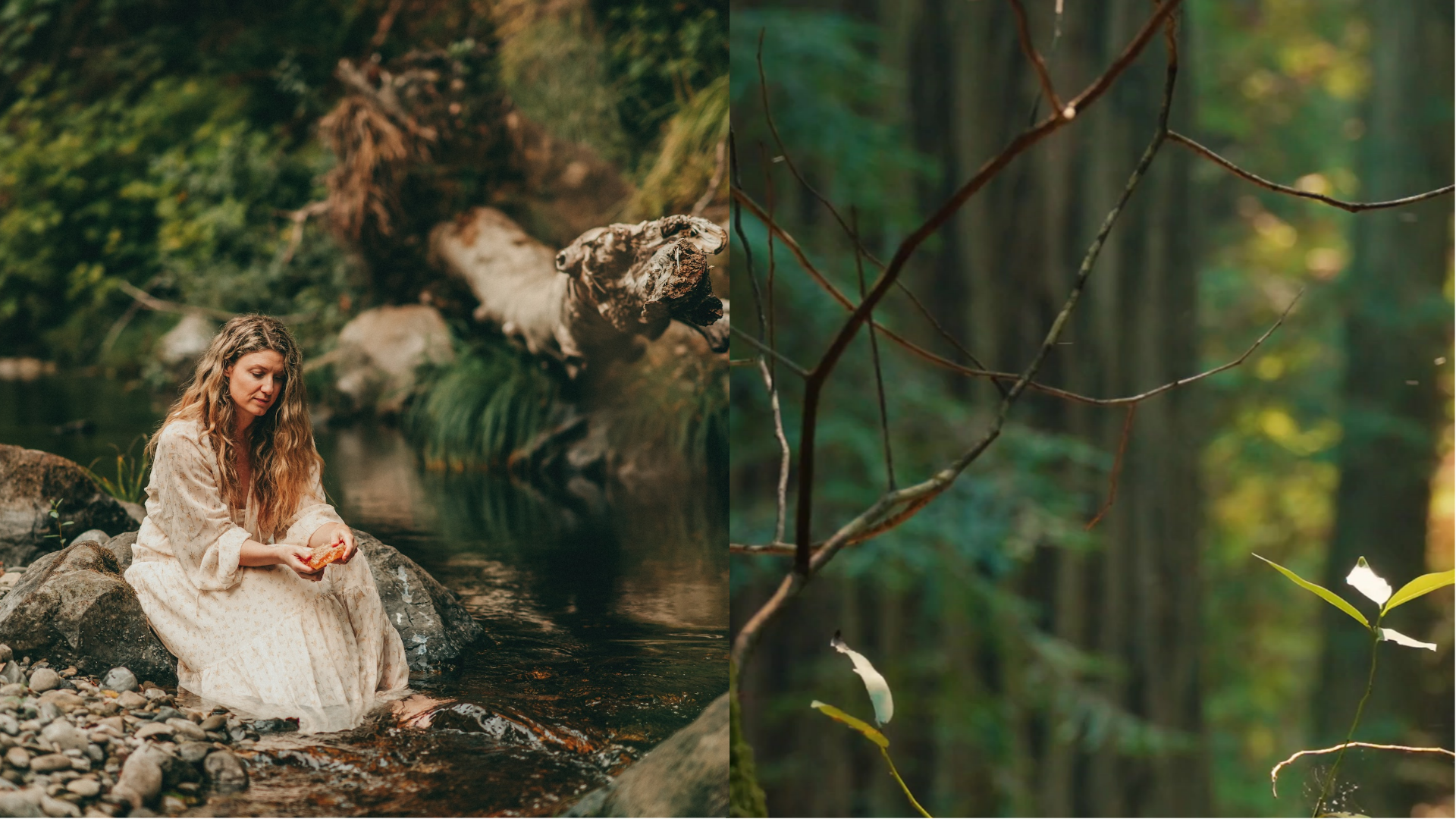 Madeline homepage fallback image.png