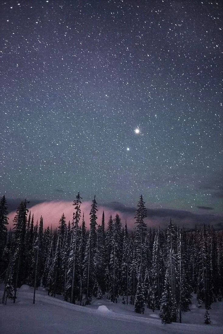 ONLINE: Dreaming Deeper - a winter immersion into dreamwork ↠