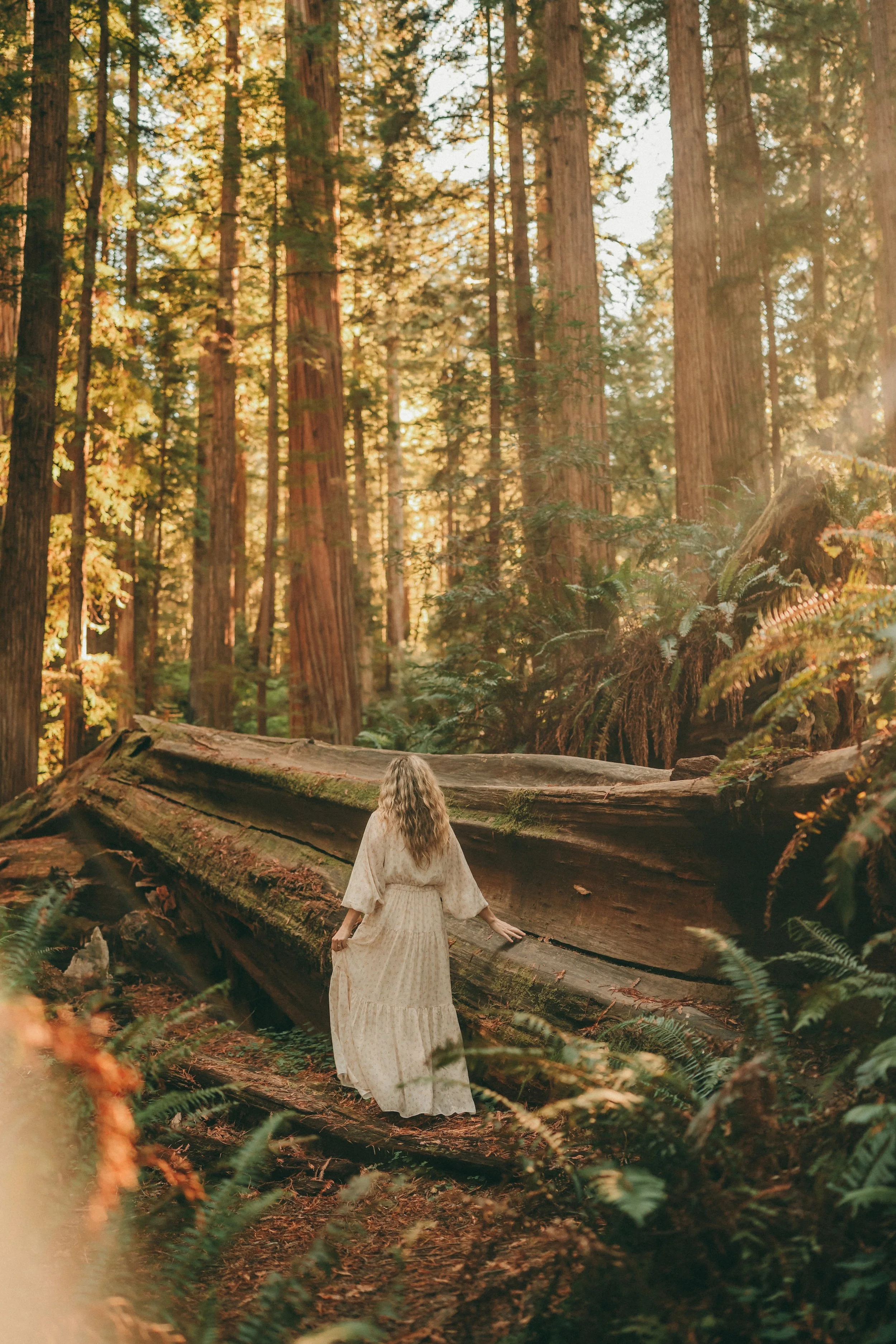 A woman with curly blonde hair and a long cream-colored dress walking in a dense Redwood forest with towering trees and sunbeams filtering through the canopy.