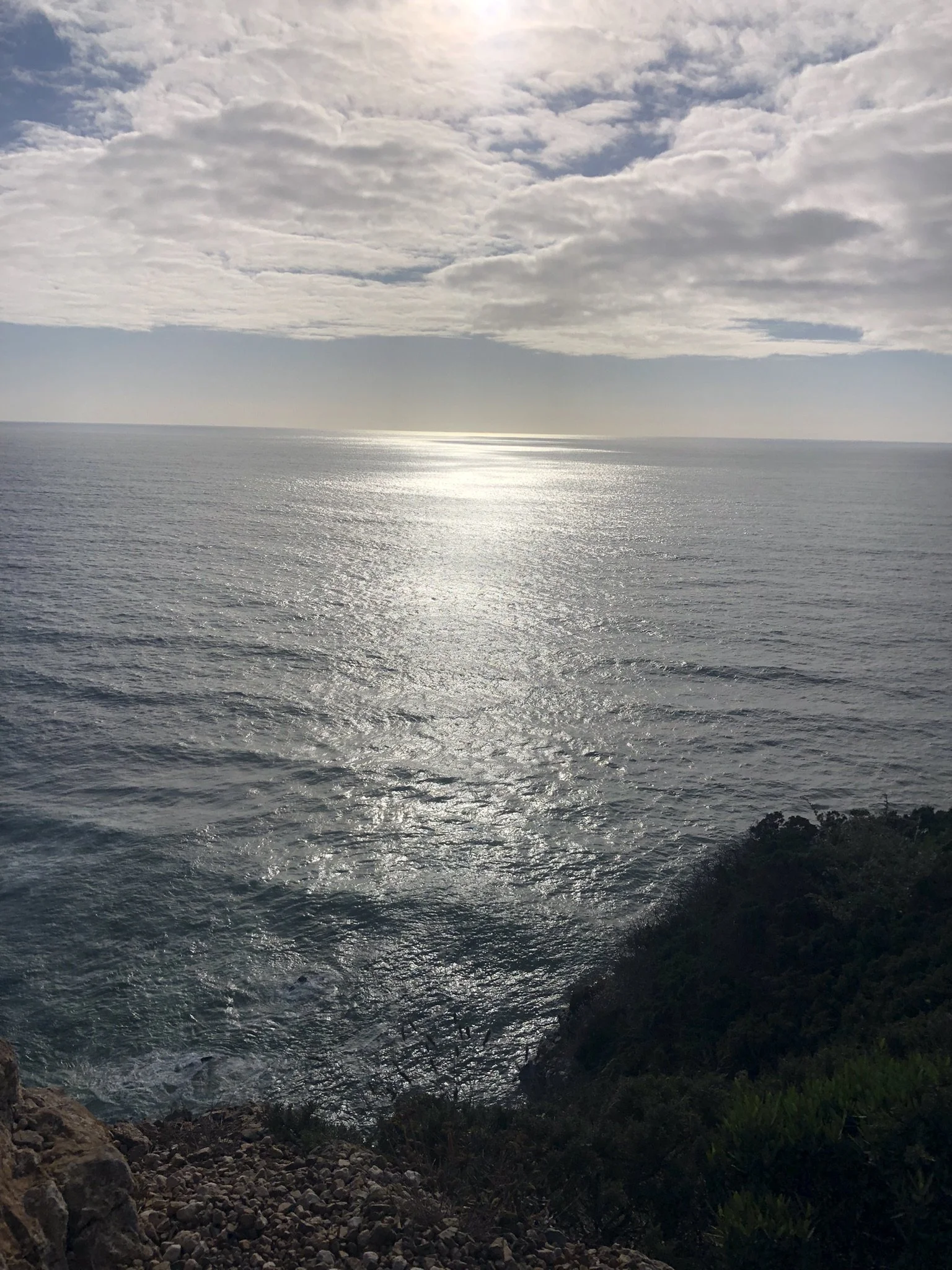 IMG_4781.JPEG