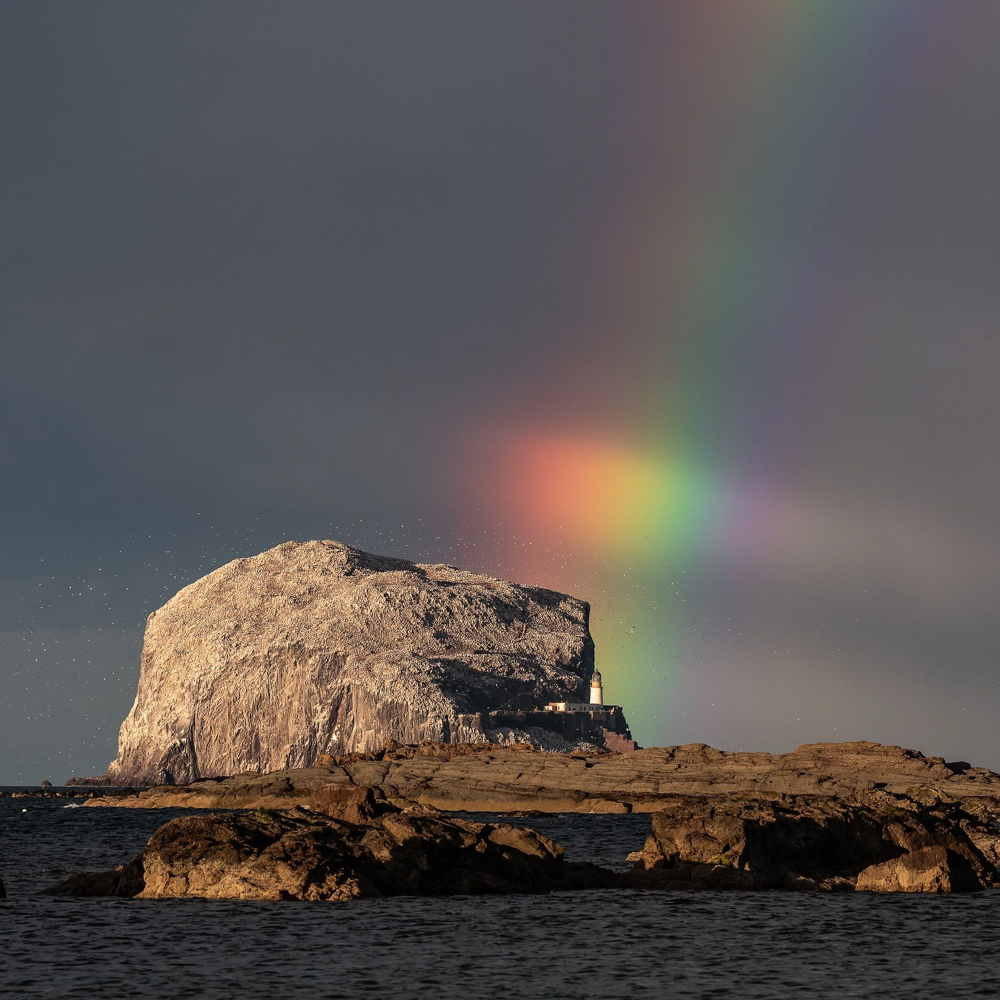 landscape_2048_Bass Rock Rainbow-03.JPG