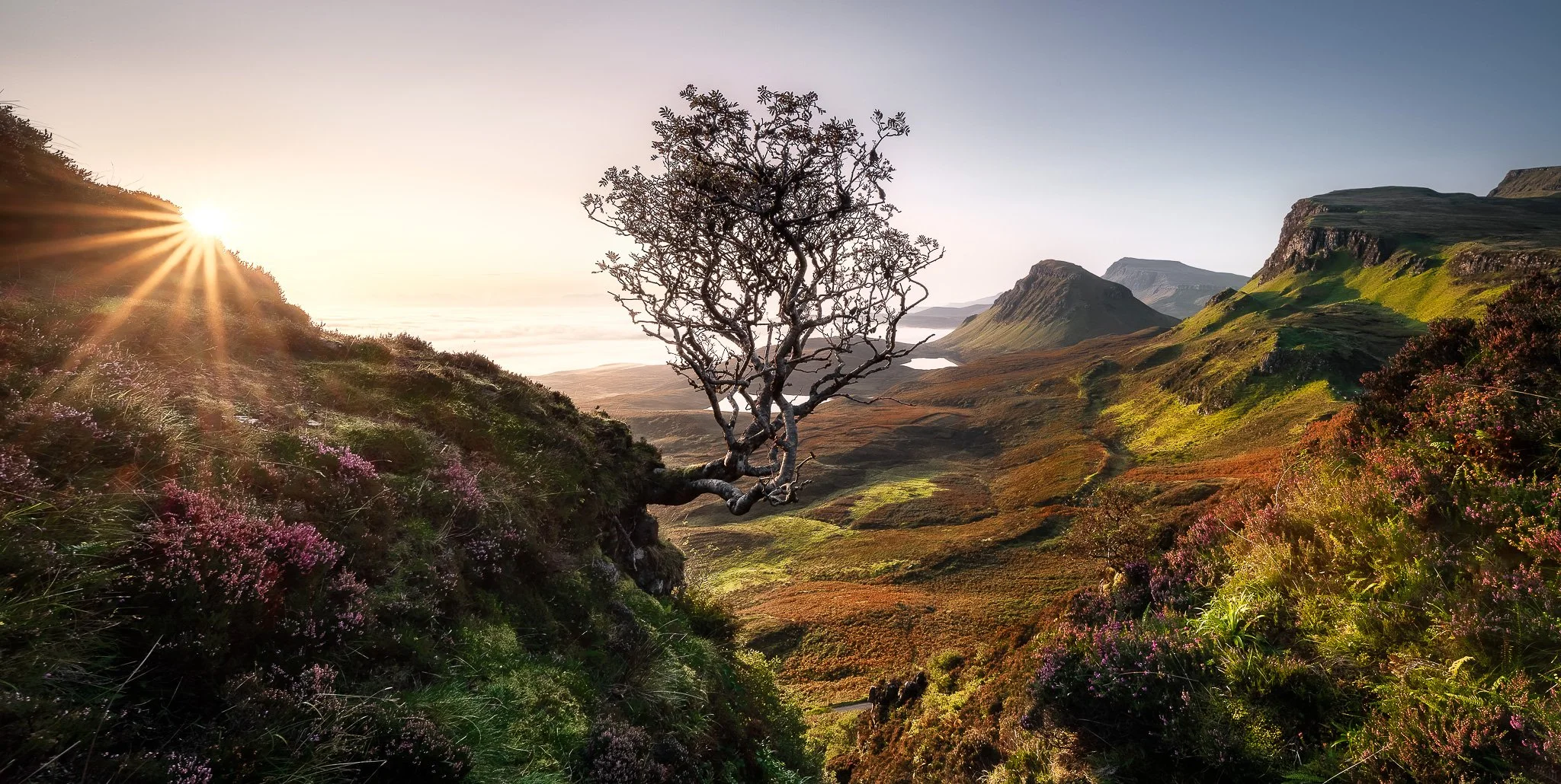 landscape_2048_Quiraing-tree-sunrise.JPG