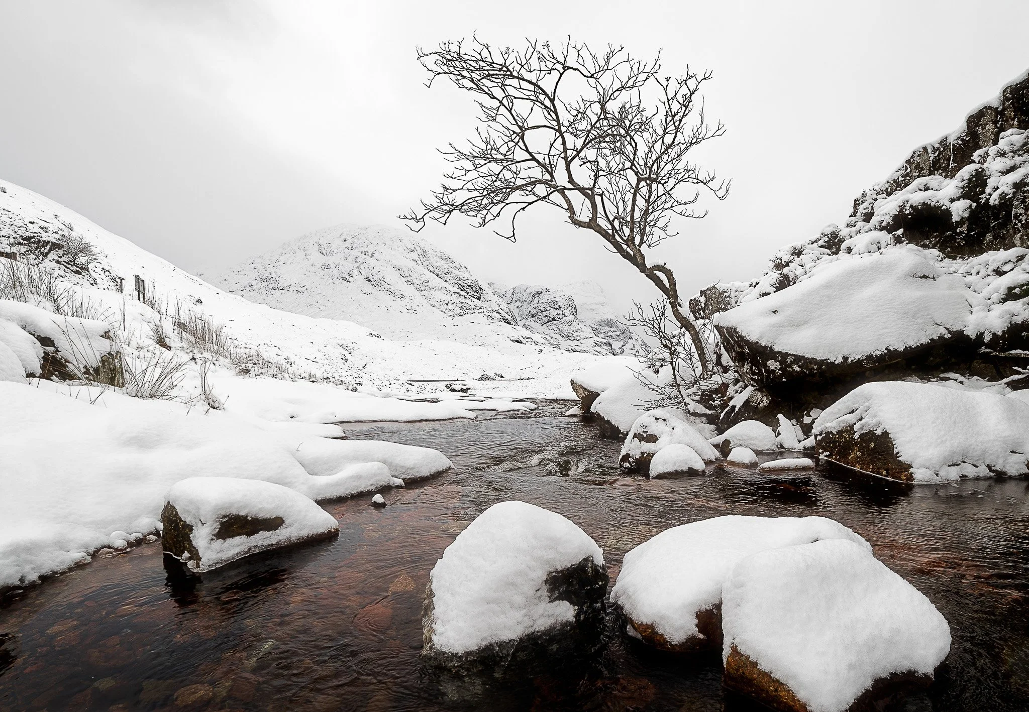 landscape_saved-for-web_glen-coe-lone-tree-snow.JPG