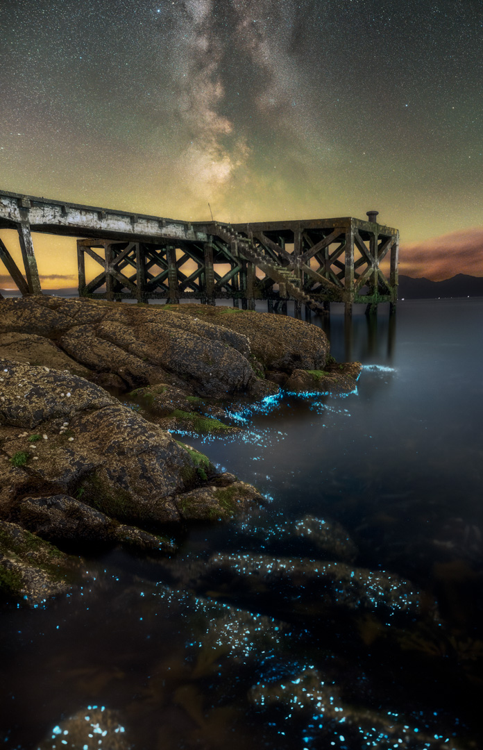 Bioluminescence at Portencross