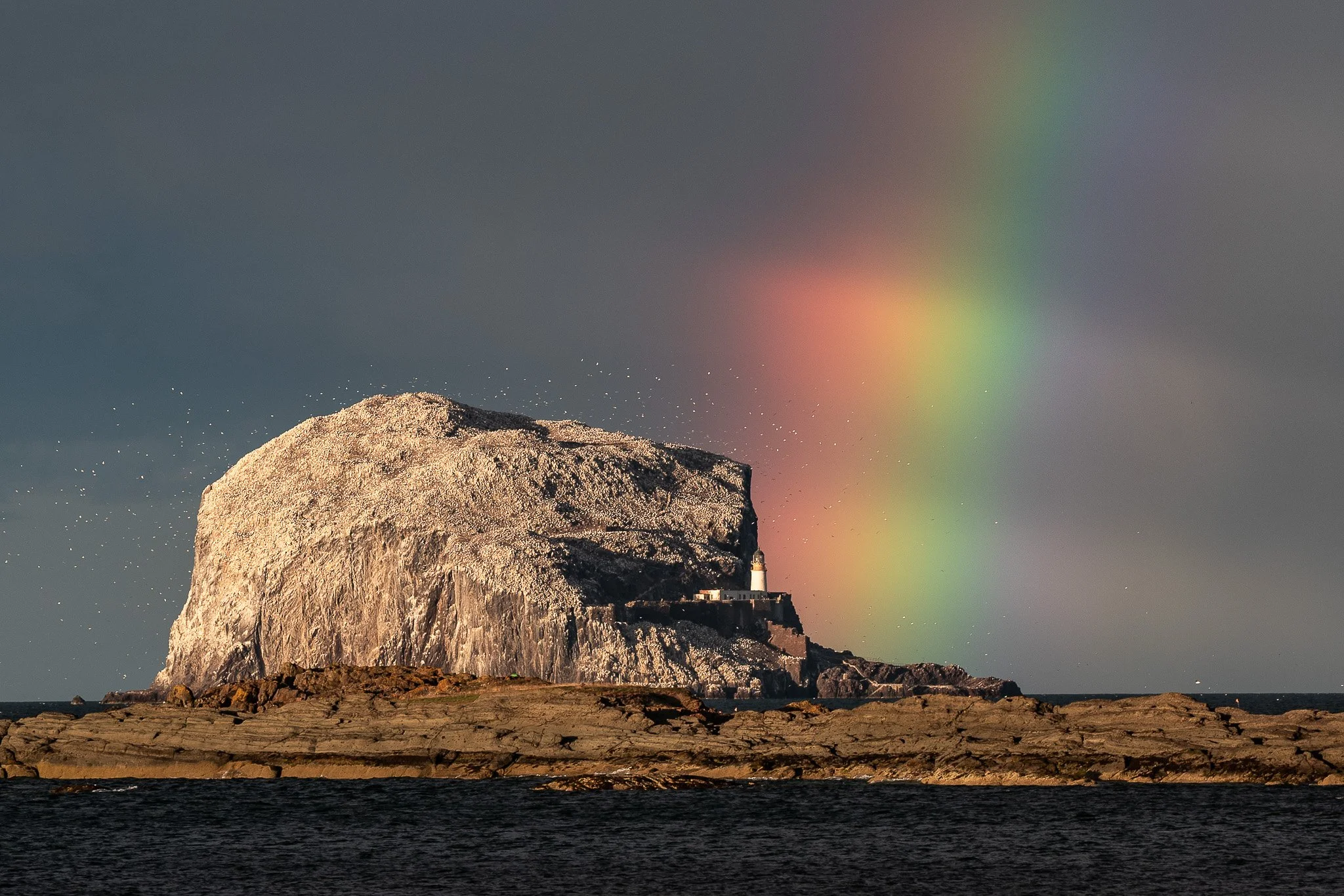 landscape_2048_Bass Rock Rainbow-01.JPG
