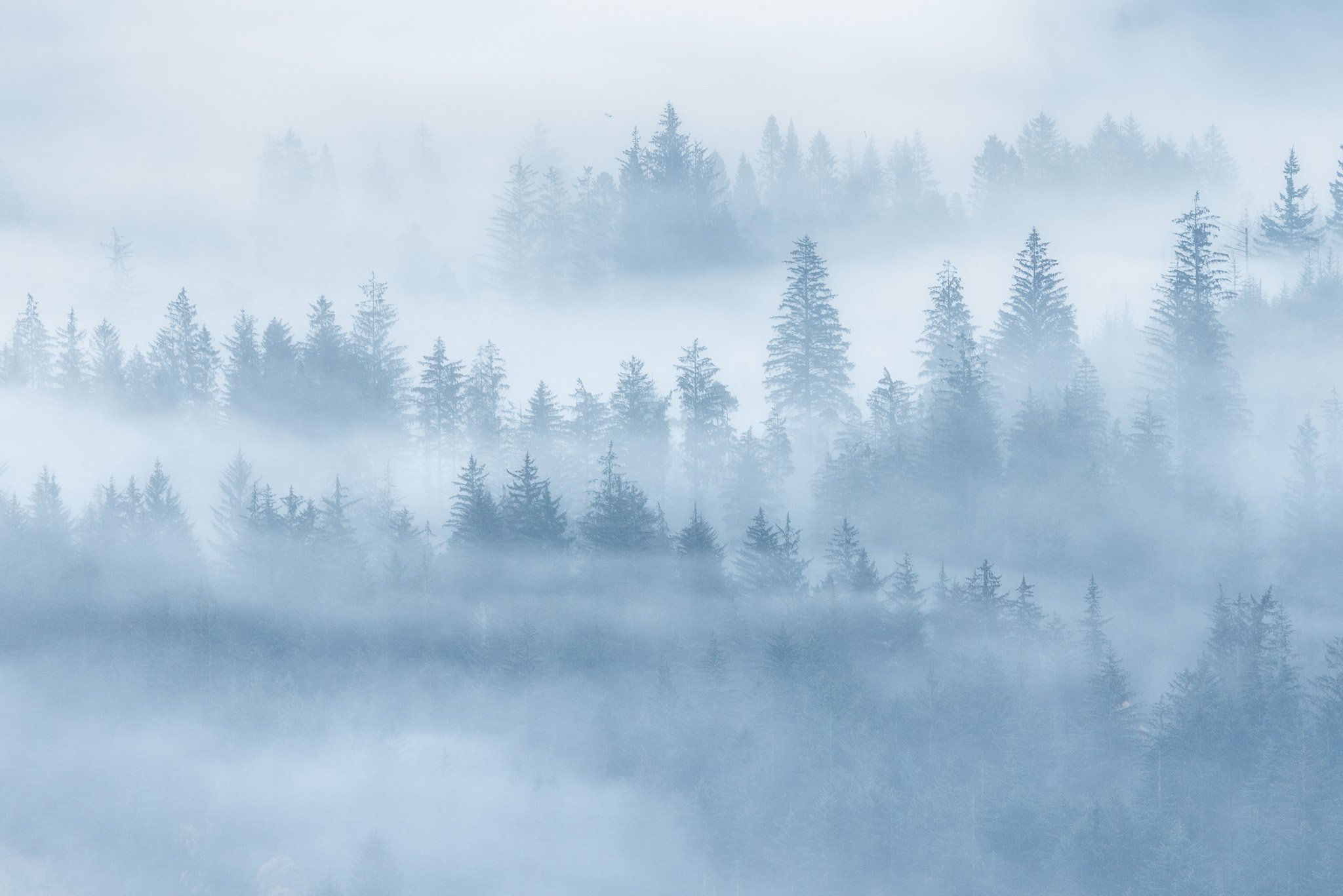 landscape_2048_Beinn A'an-04.JPG