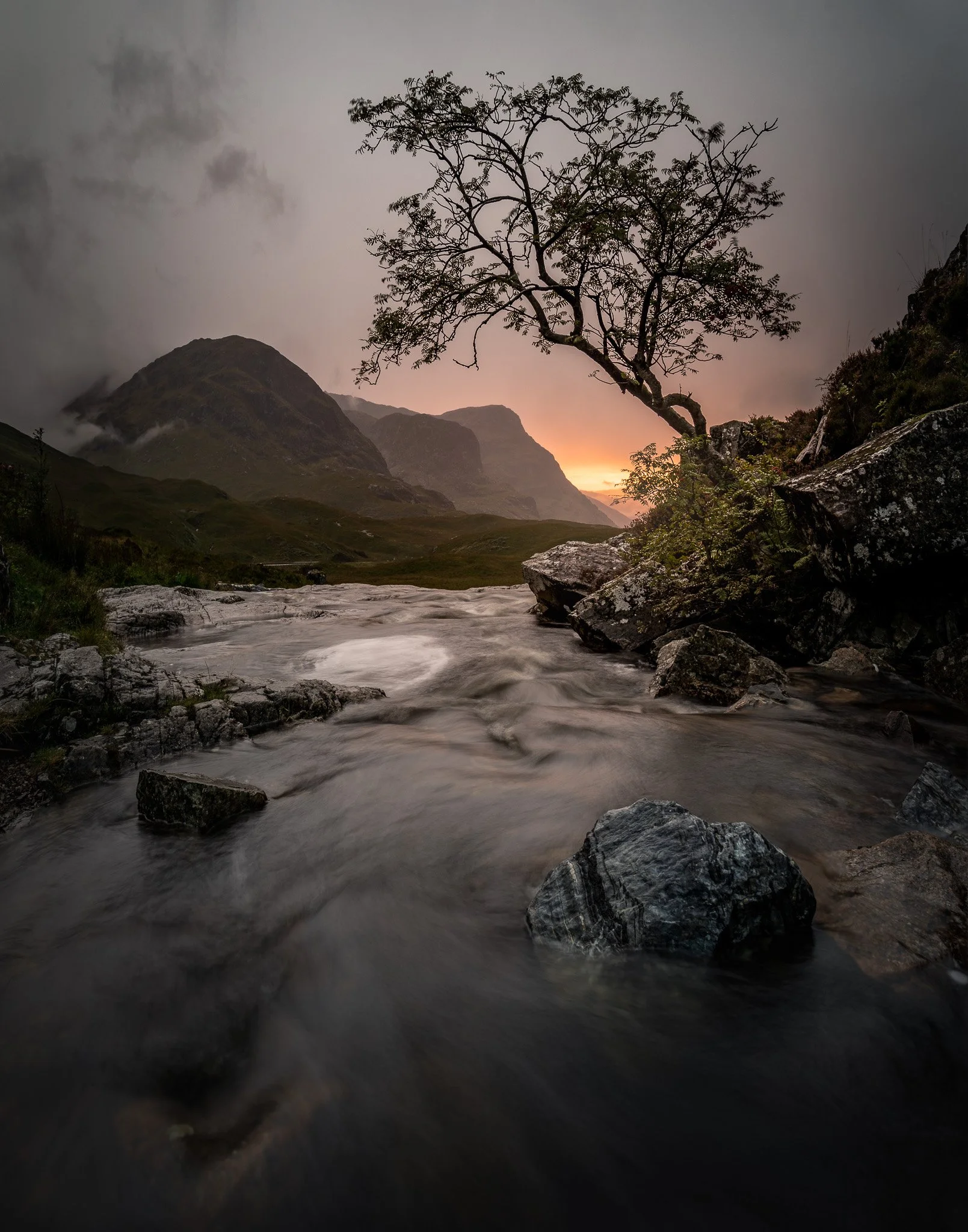 landscape_2048_Glen-Coe-lone-tree-Subtle-Glow.JPG