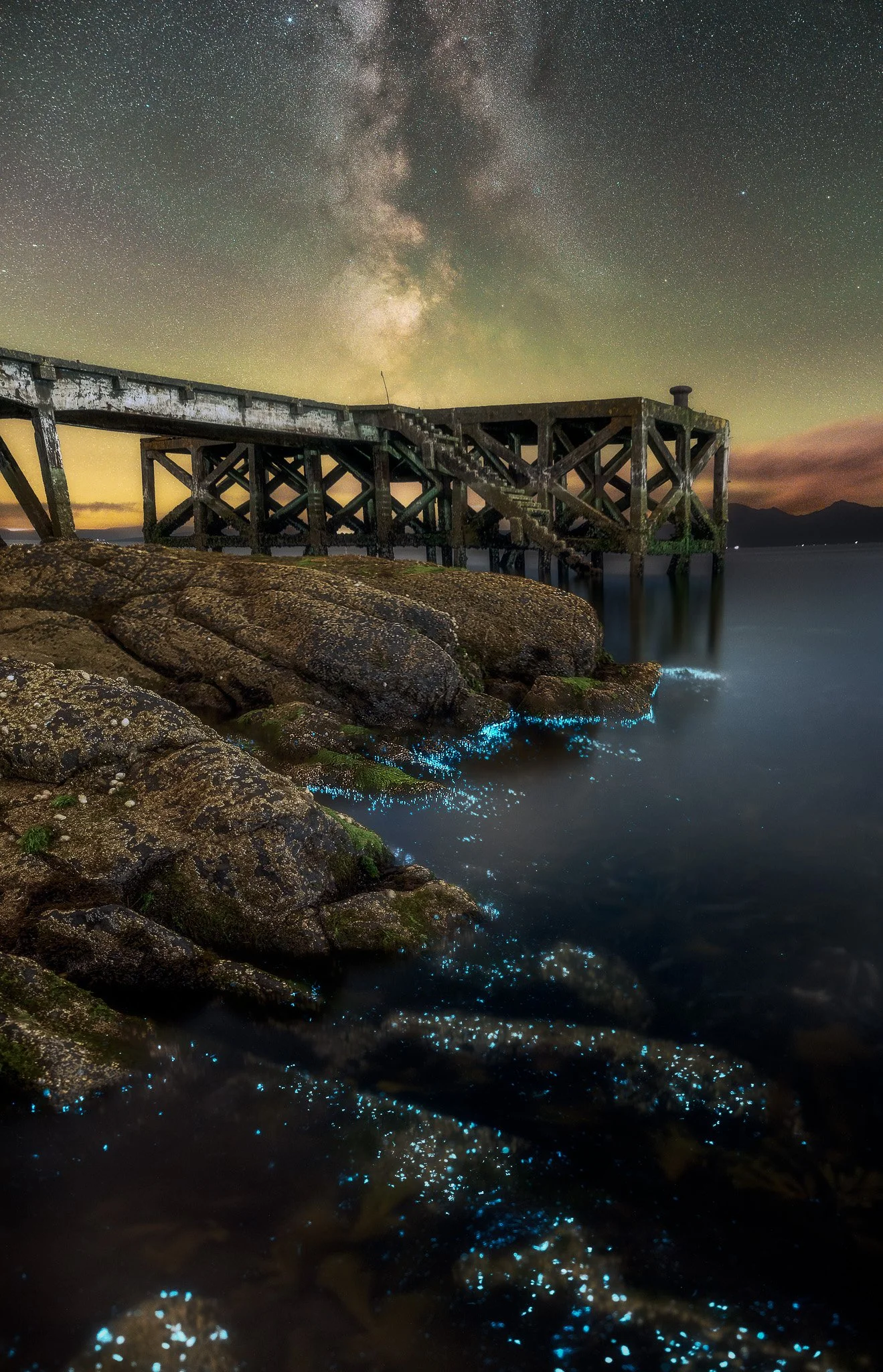 nightscape_2048_Portencross Bioluminescence.JPG