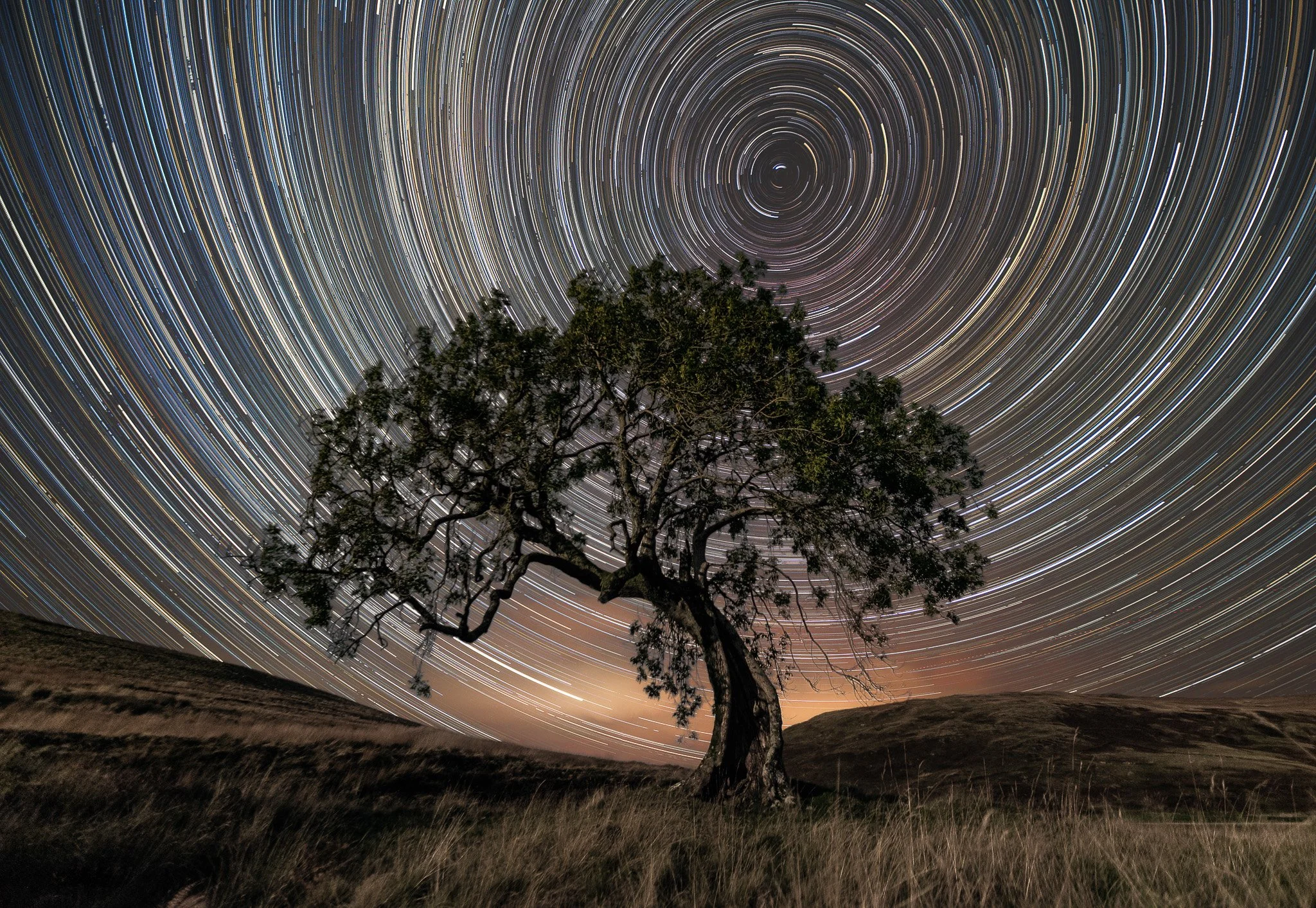 nightscape_2048_stack frandy tree.JPG