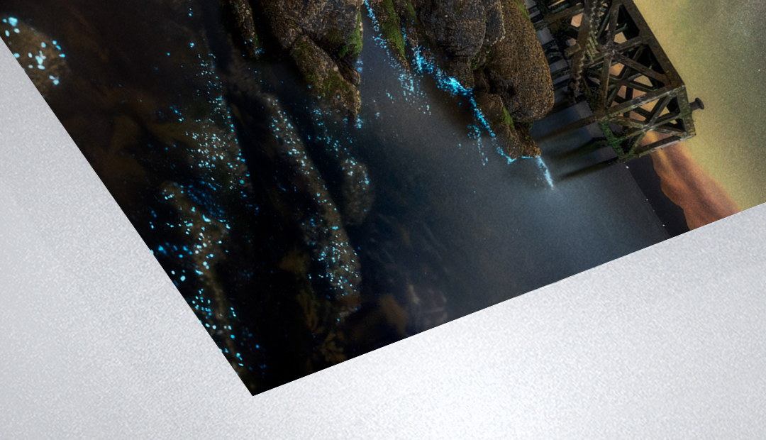 store-ayrshire_night_sky-bioluminescence_at_portencross-paper.png