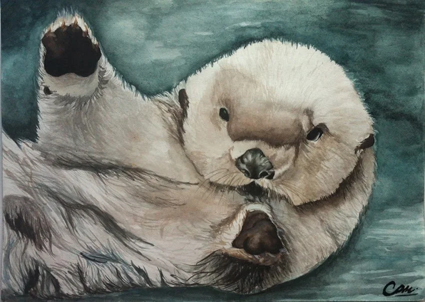 Sea Otter.jpg