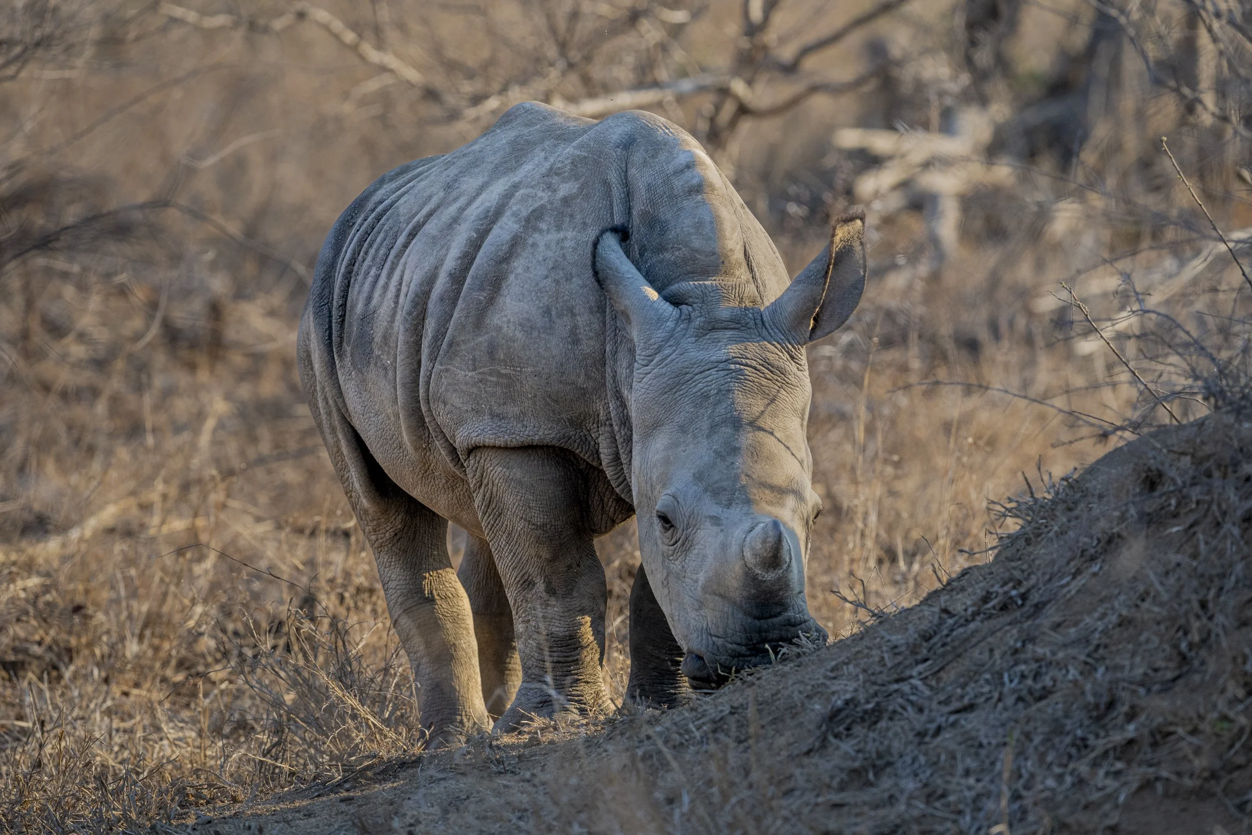 Südafrika_Family_2025-303.jpg