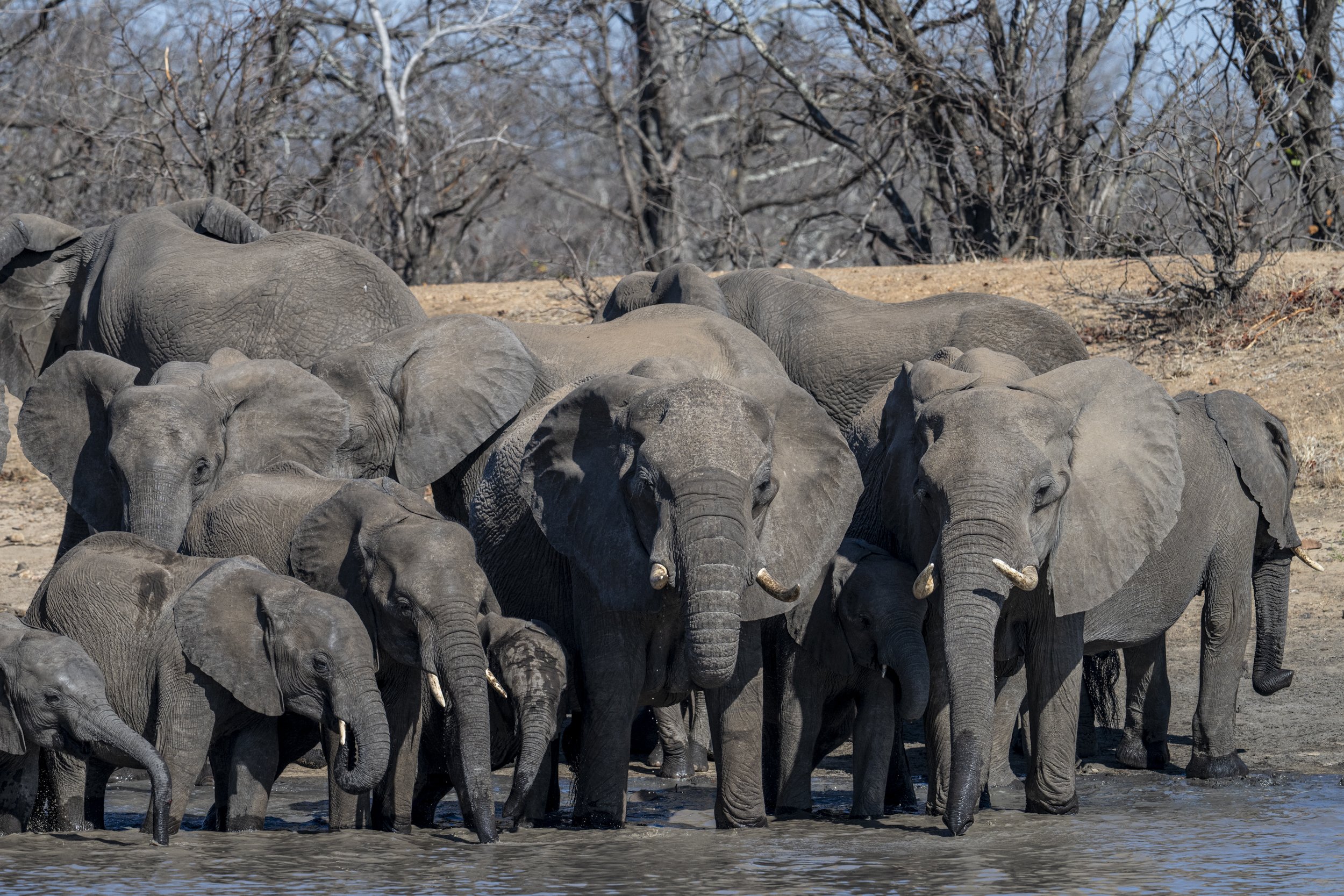 Südafrika_Family_2025-319.jpg